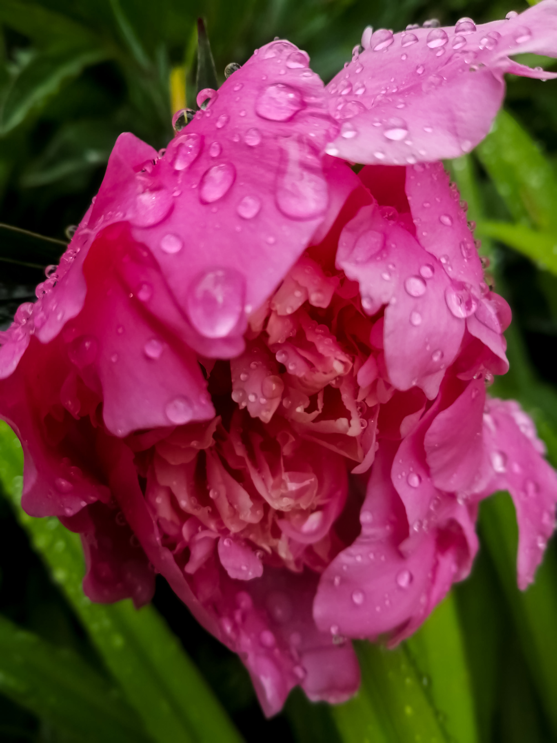 Отзывы о фотографе Ольга Гаврикова. Семейный и детский фотограф в Красноярске Ольга Гаврикова