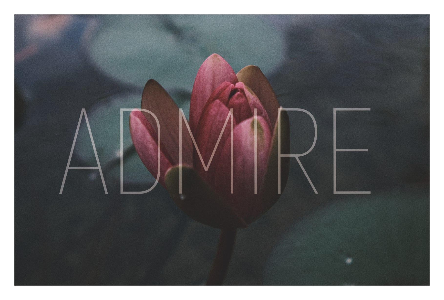 Авторские открытки