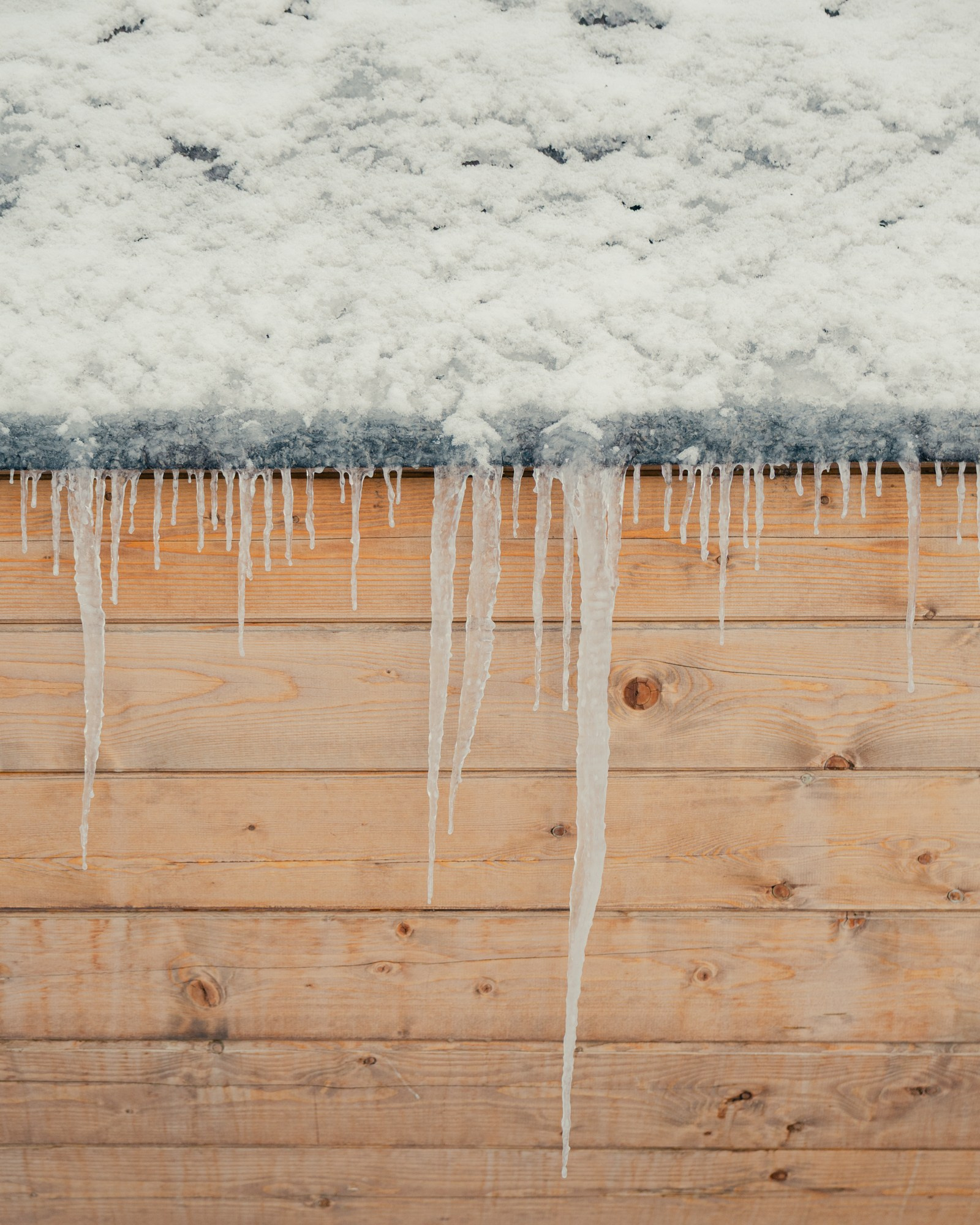 Hytte glamping. Фотограф Павел Краснов