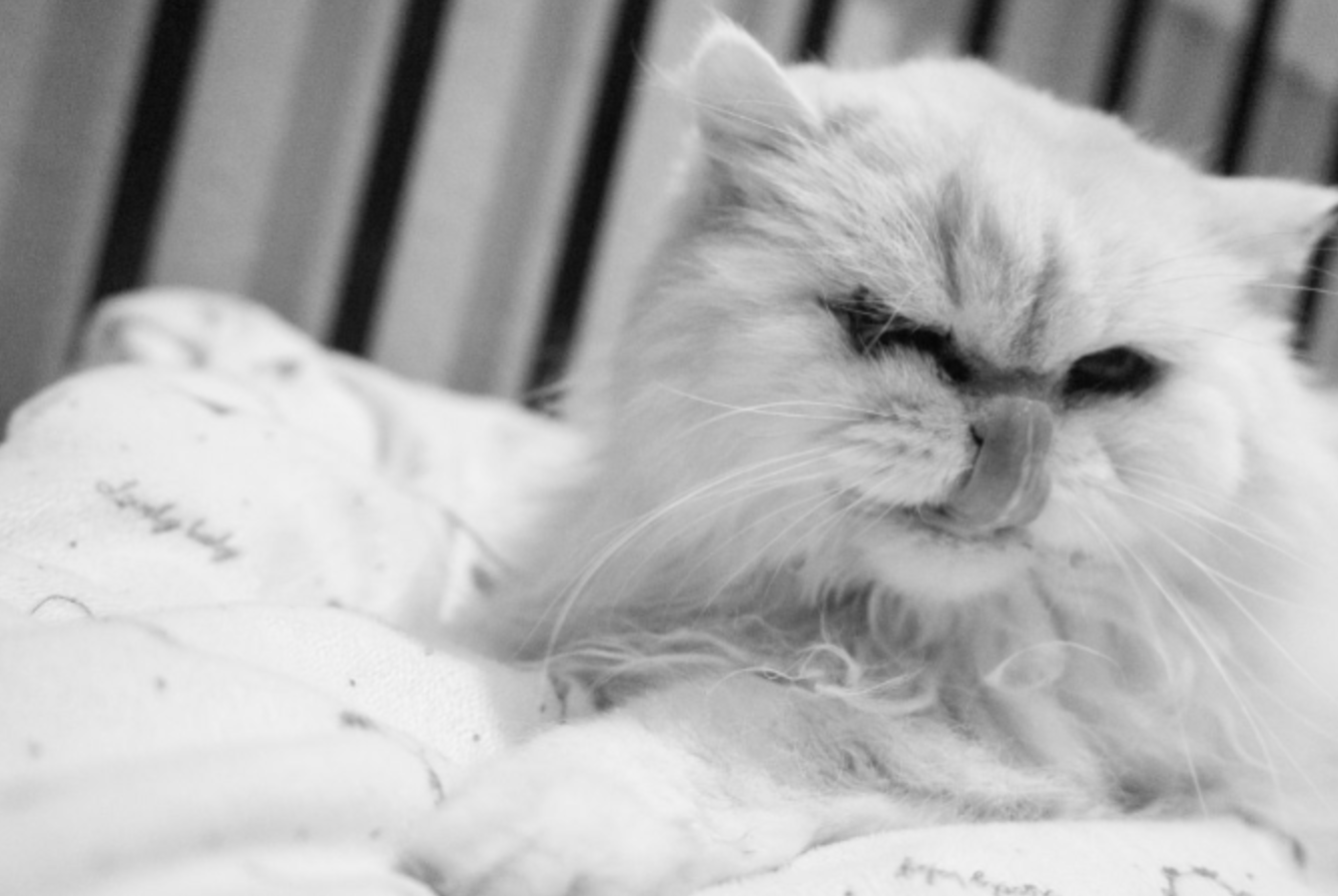 Вика. Кучерявая || Фотограф || Самара·Питер·Москва