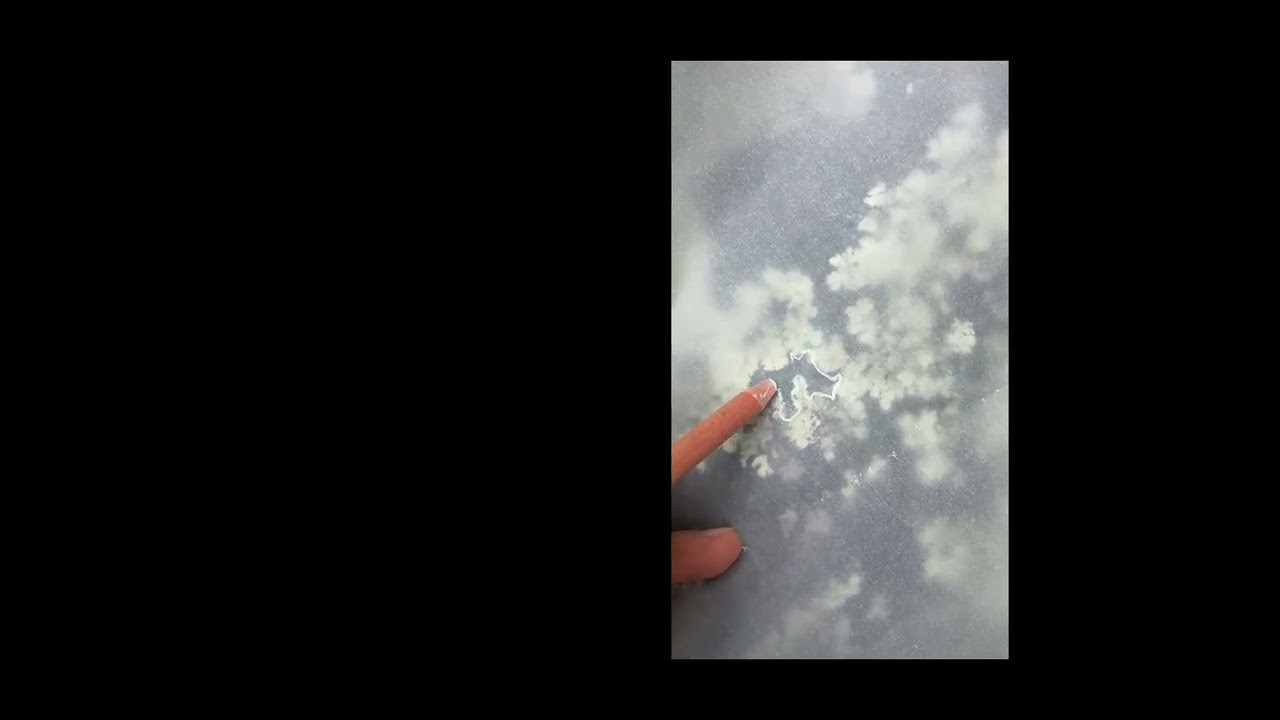 FANTOM MAP OF THE MOTHERLAND. Xexexena.ru