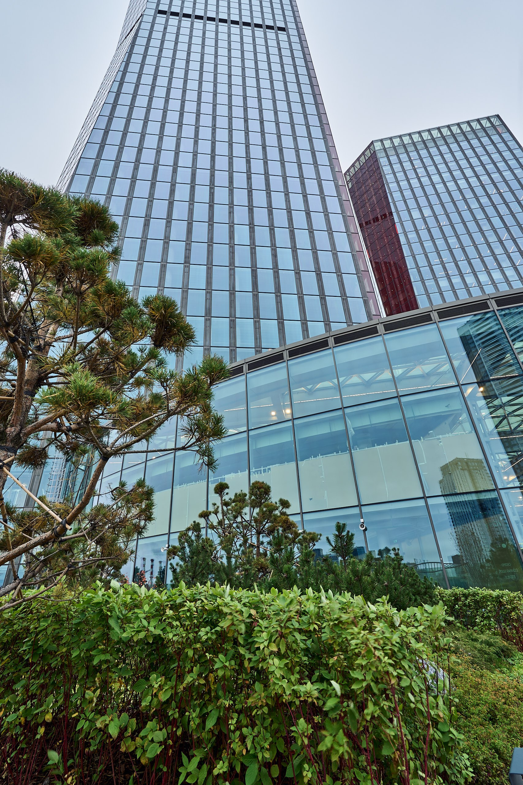 Архитектурная фотография башен и верхней части стилобата бизнес-центра iCity, вид с зеленой веранды на крыше стилобата