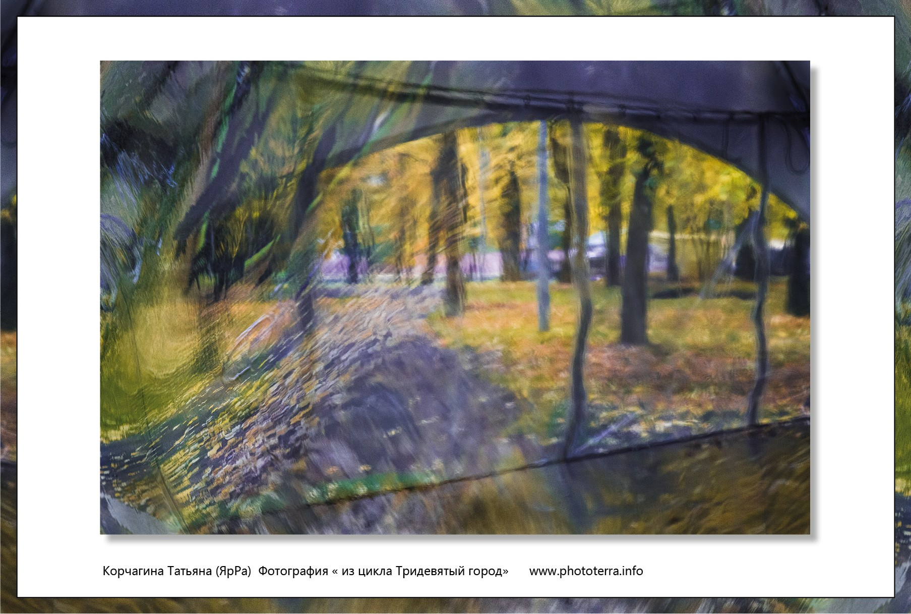 Арт & поэзия. Татьяна Корчагина. Фотограф, художник. Обучение фотографии