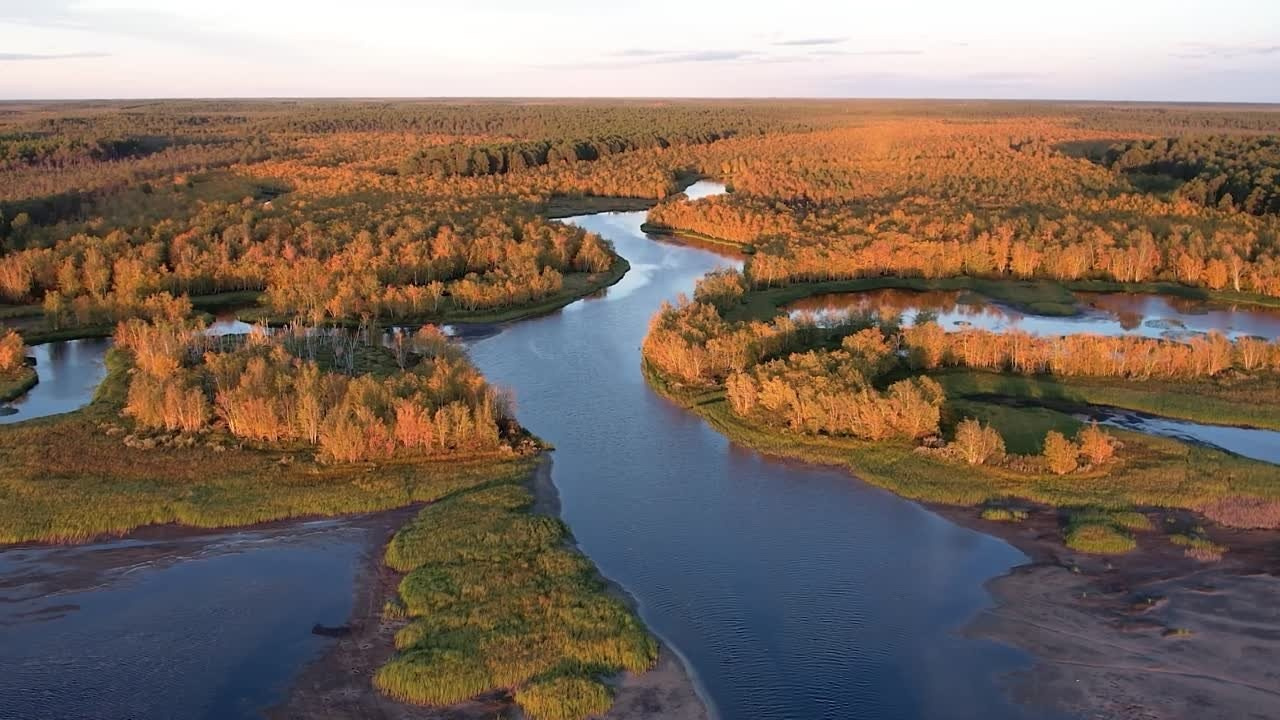 Видео. Фотограф Татьяна Борисова