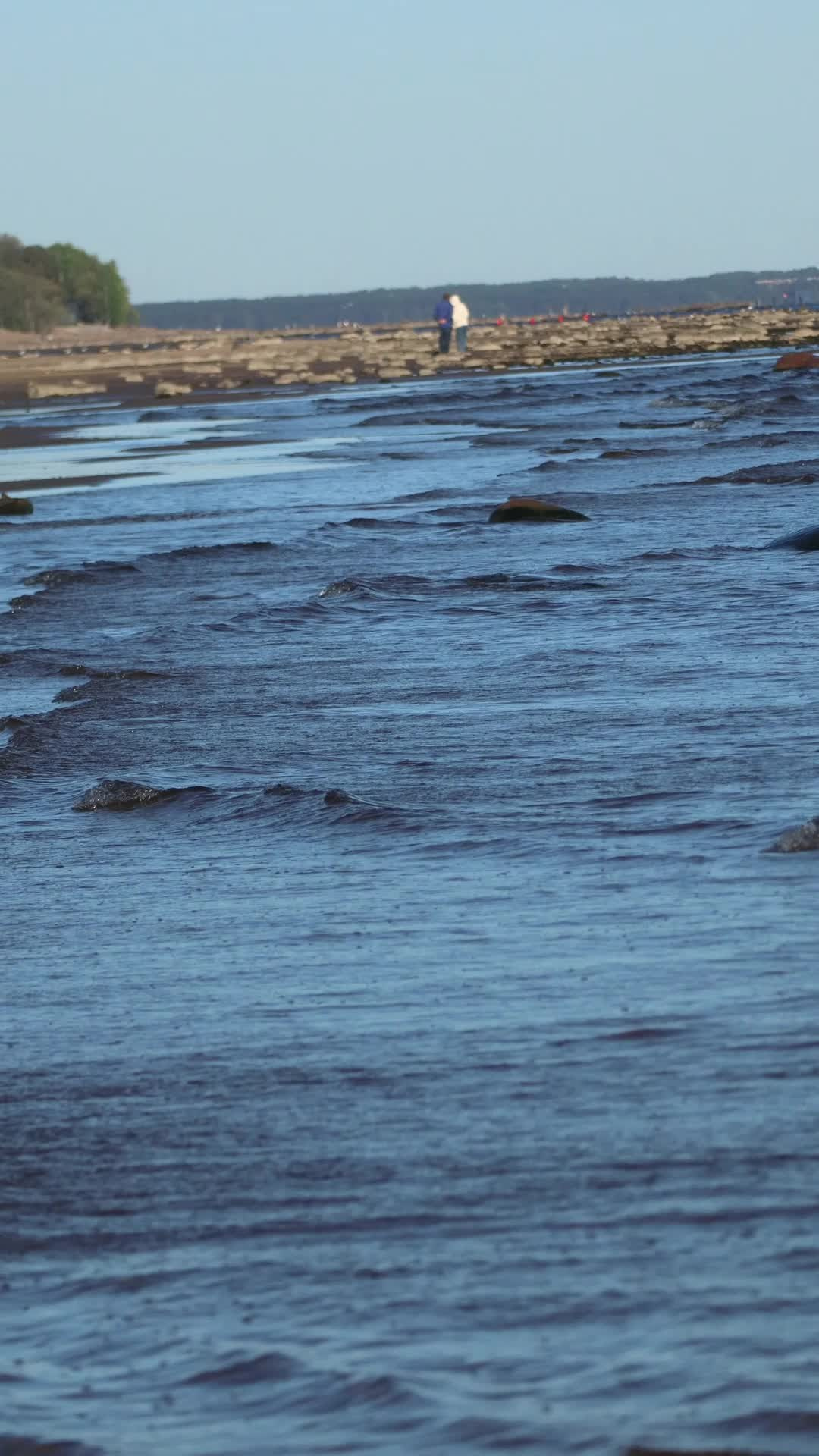 Все пресеты DR| КОРИЧНЕВЫЕ. Кинематографичный фотограф, видеограф Лина Плешакова, Санкт-Петербург