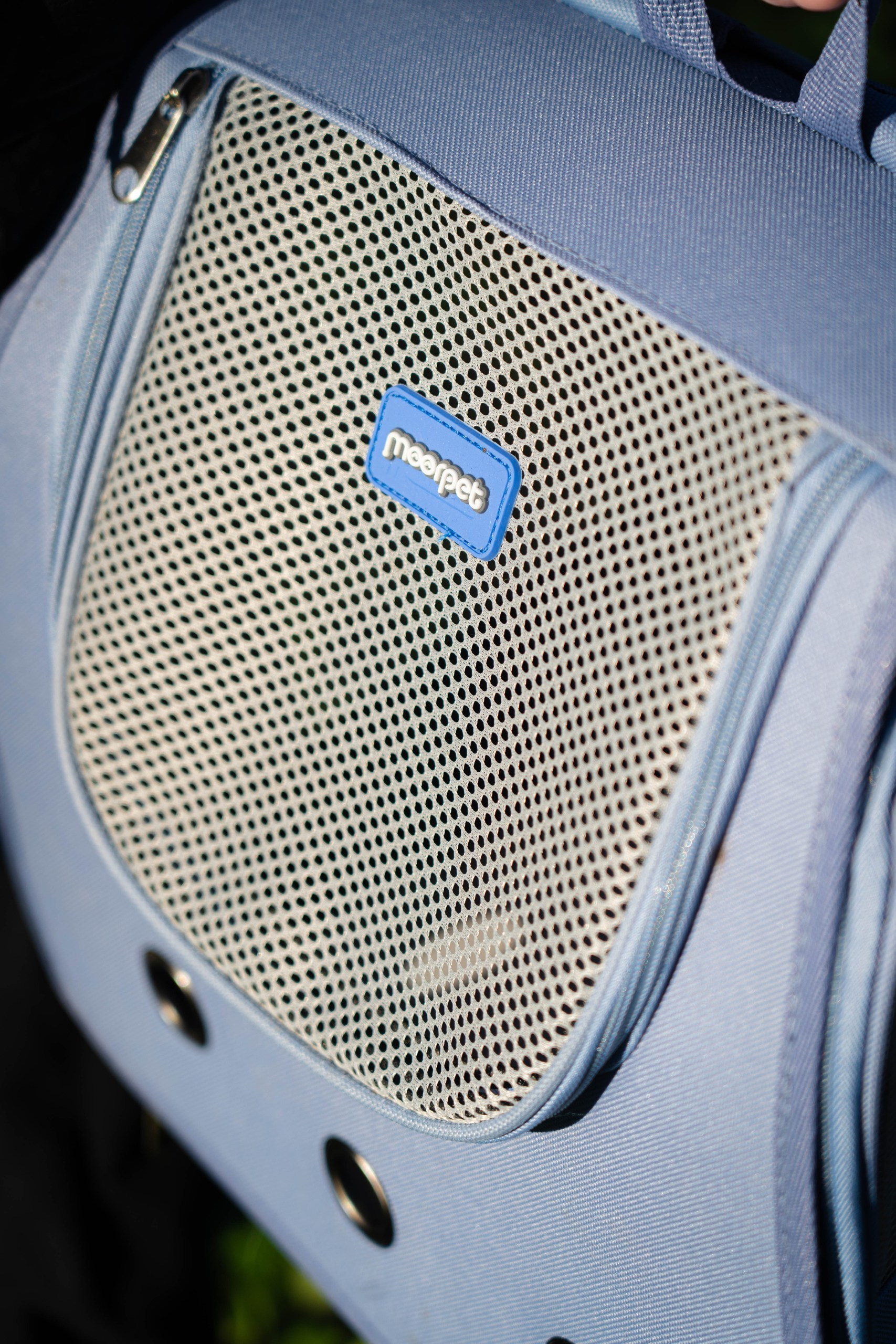 Для бизнеса. Репортажный фотограф в Санкт-Петербурге