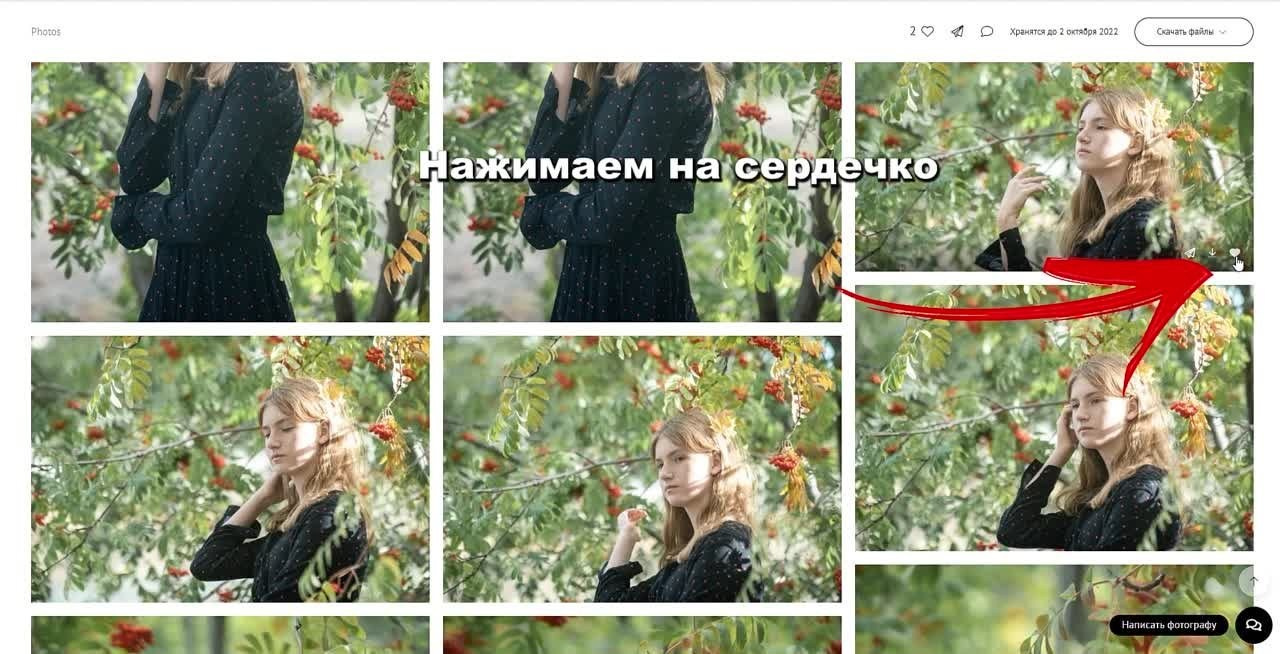 Как отбирать фотографии для выпускного альбома. Выпускные альбомы. Южноуральск