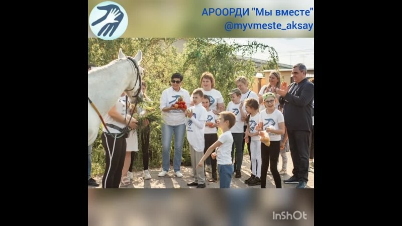 Новости конного спорта