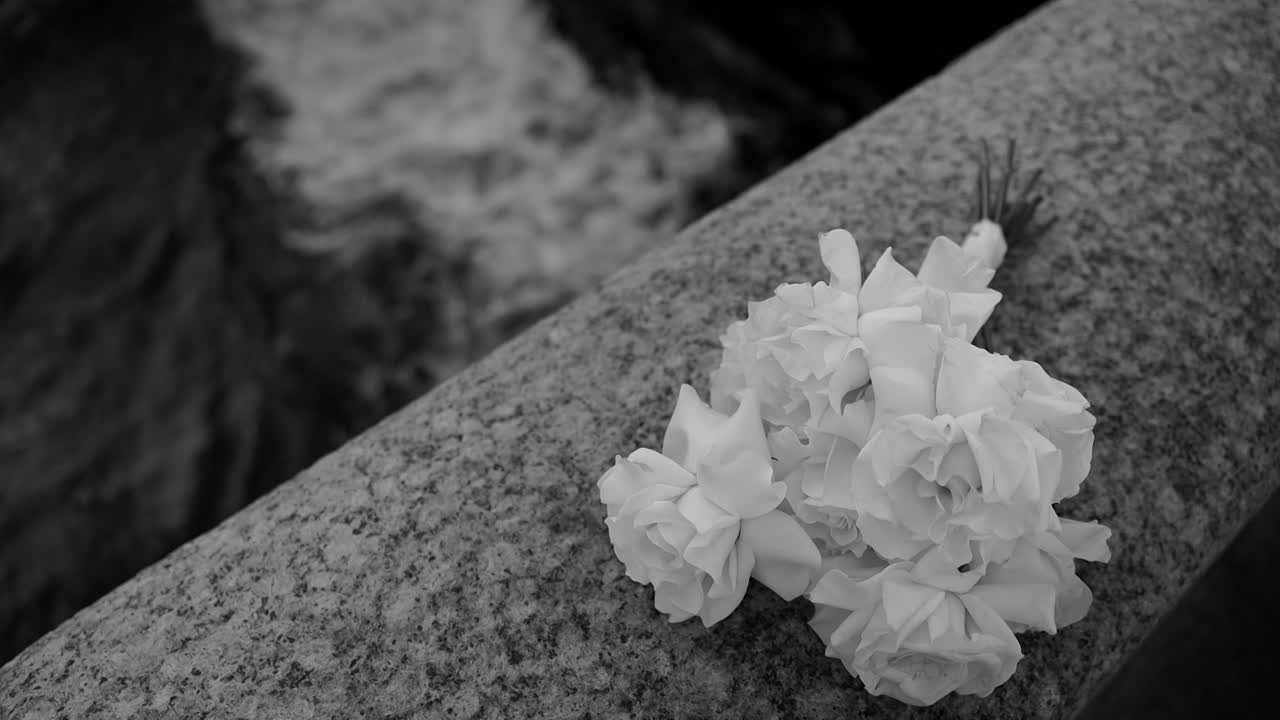 Свадьбы. Виктория Цветкова — оператор, режиссер, видеограф в Санкт-Петербурге