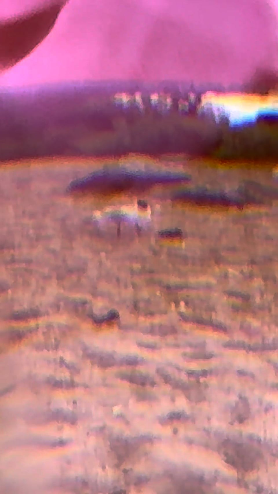 С 13 мая 2025 года в арт-резиденции Катиция