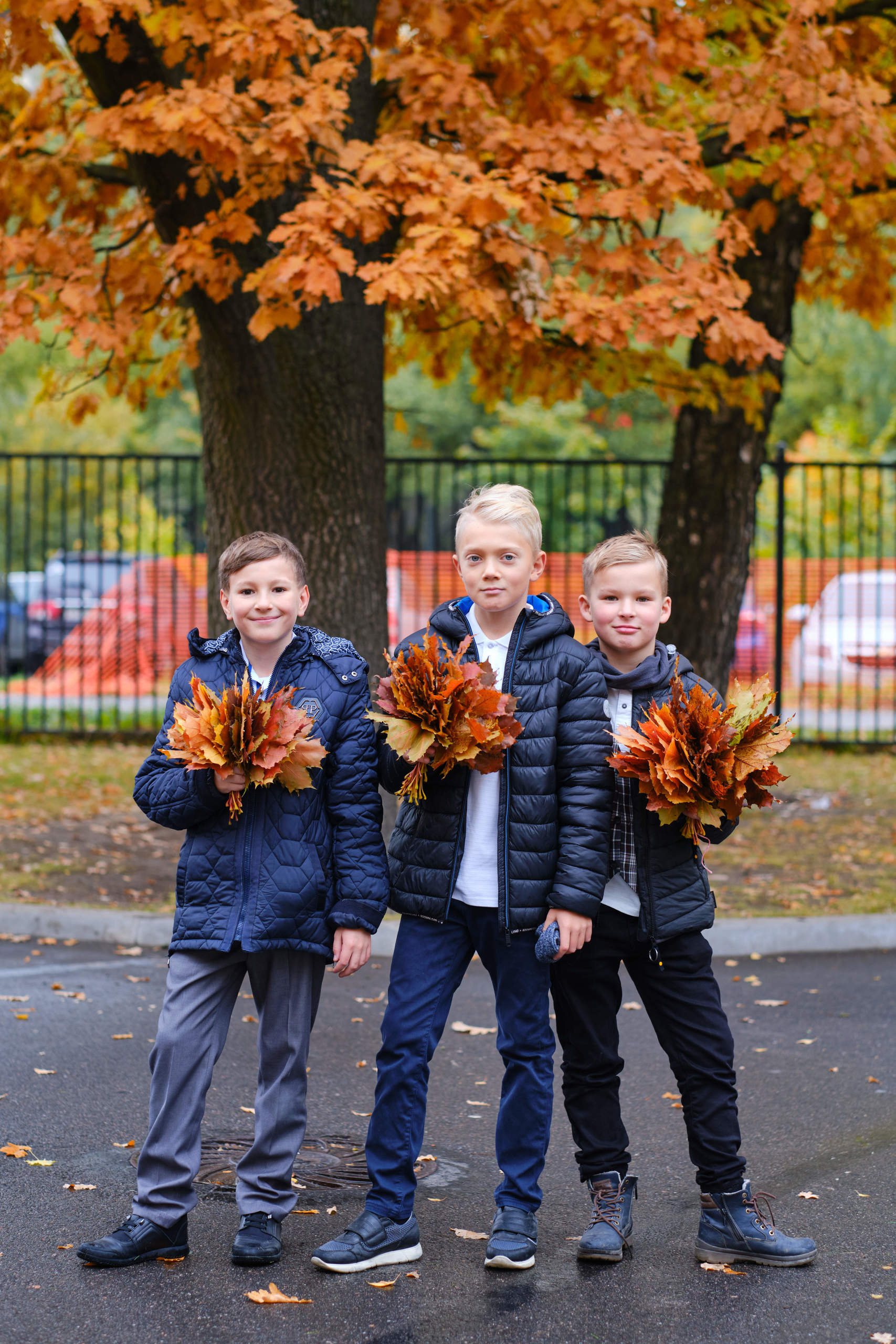 мальчики стоят около дуба с букетами из листьев