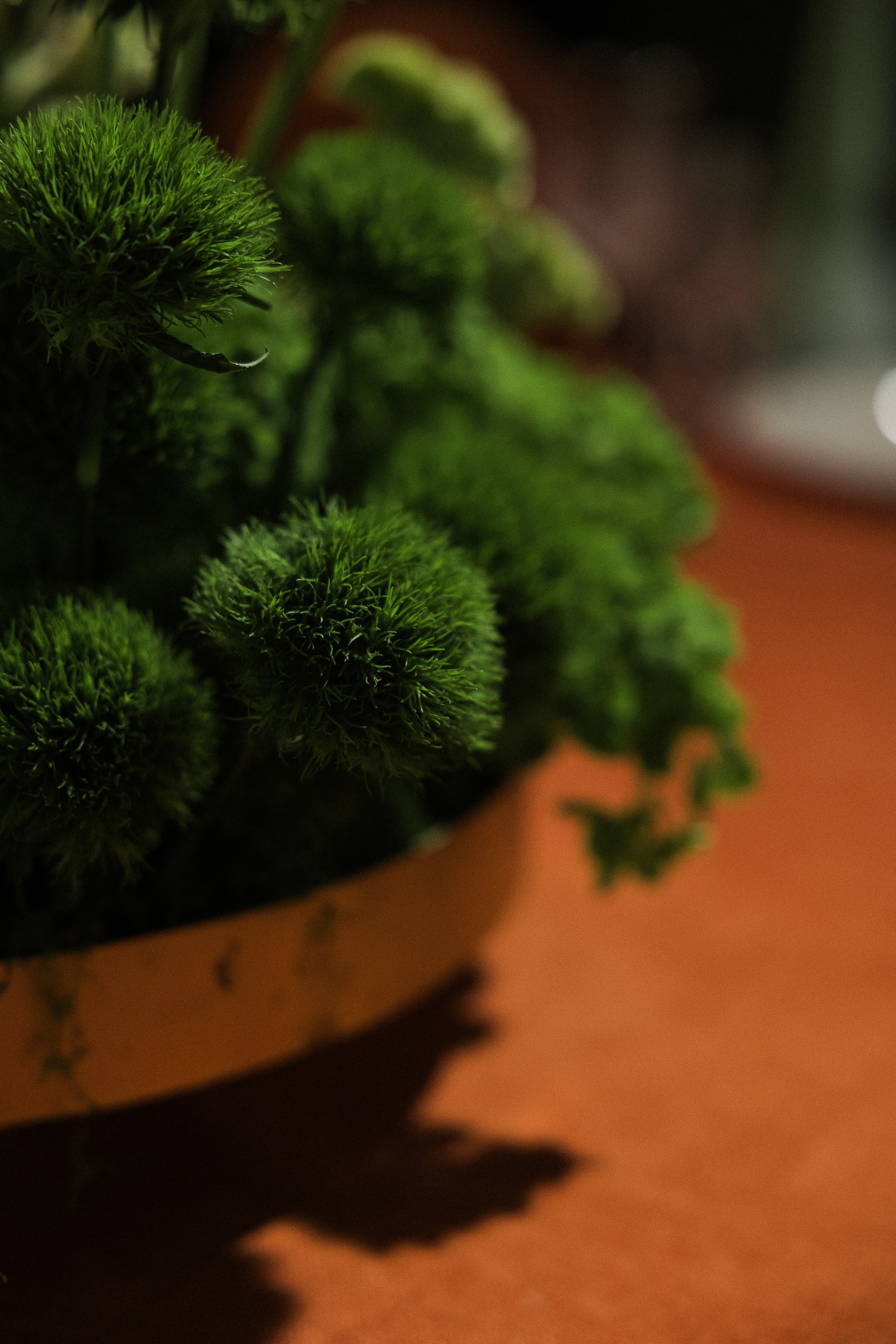 Свадебные истории. Свадебный фотограф в Ростове-на-Дону Васильченко Сергей