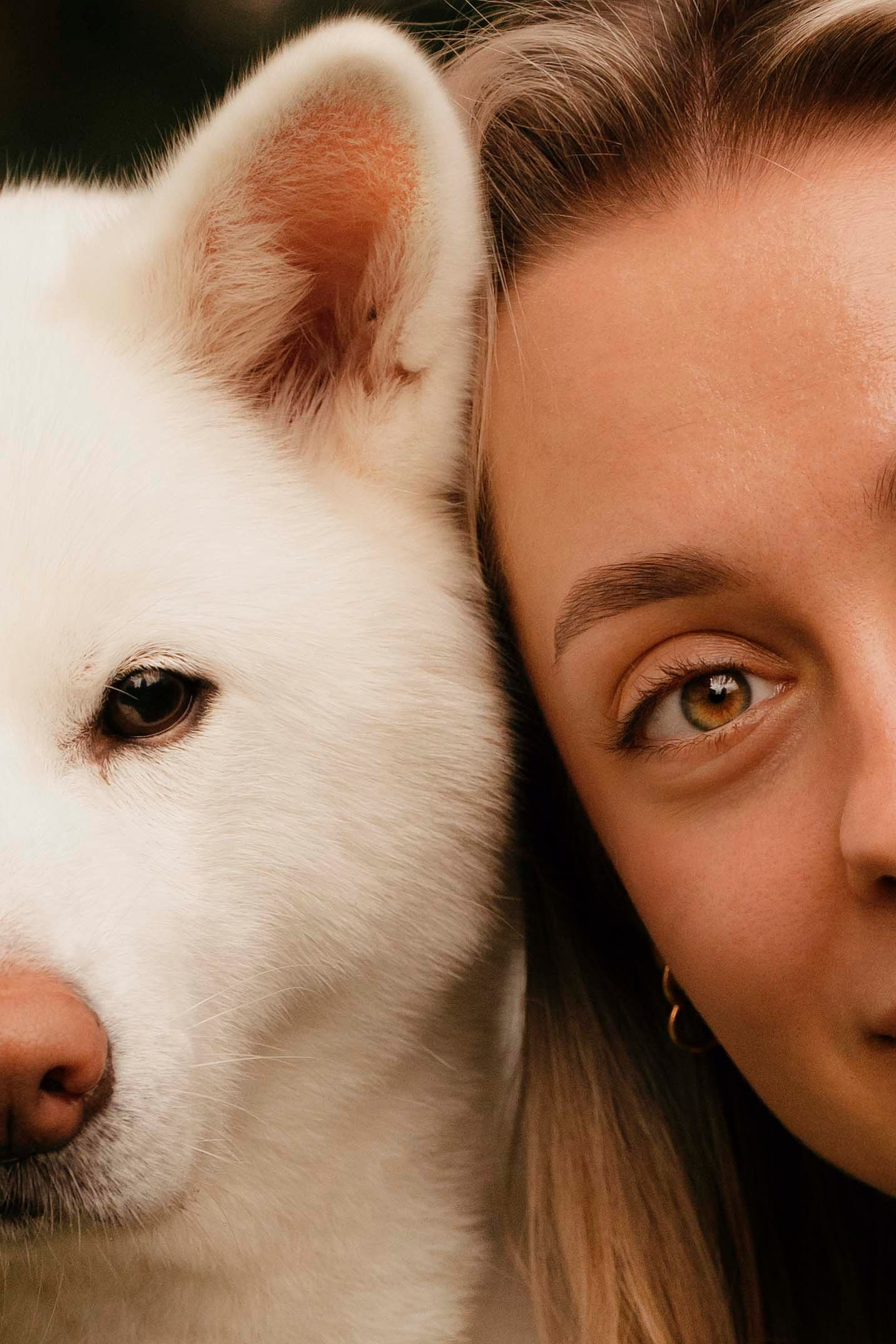 Заказать съемку. Фотограф- анималист Александра Матвеева