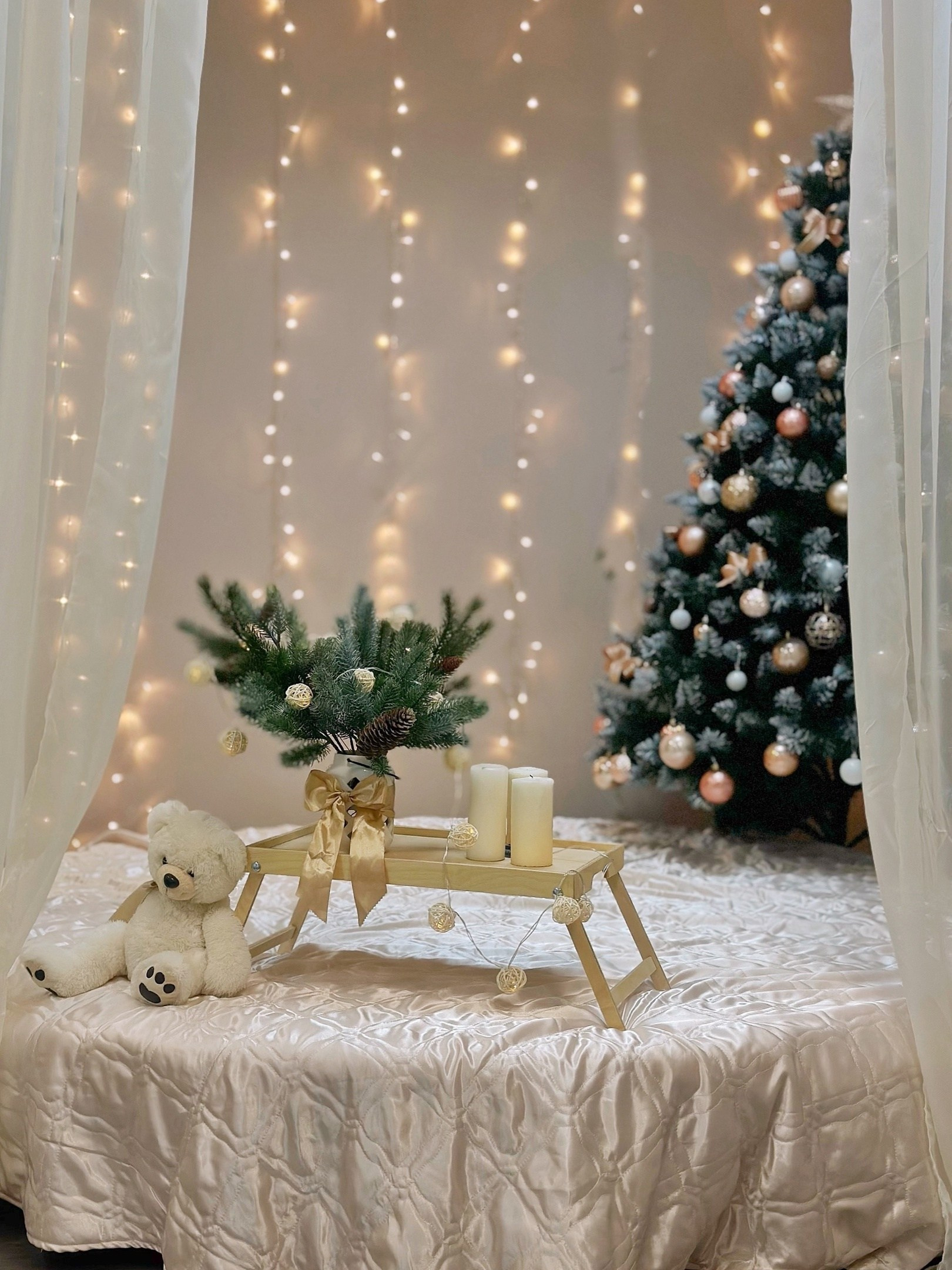 Новогодние Студии Тамбова. Фотограф г. Тамбов г. Воронеж Богдан Тарасов