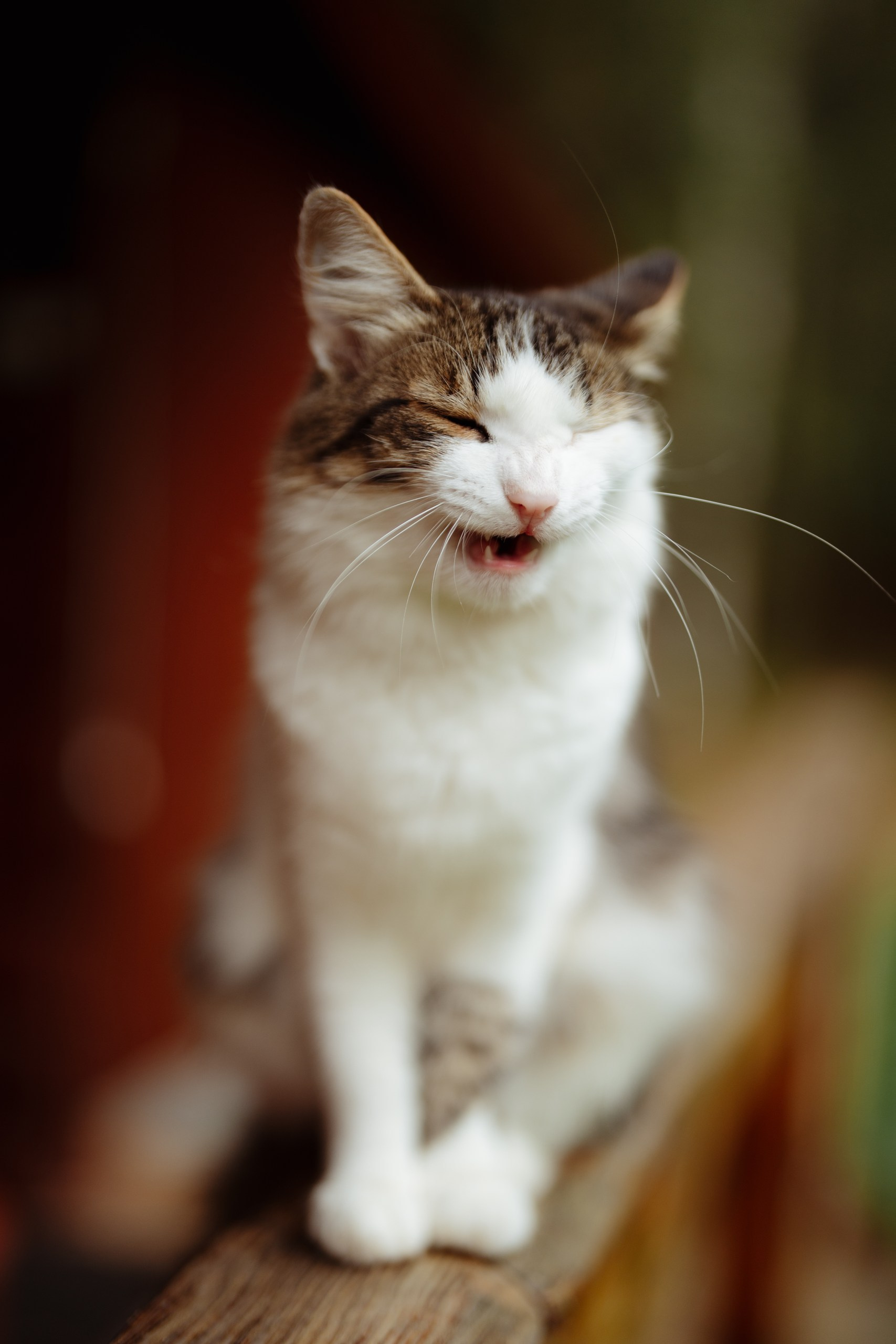 Сюжет № 11|Виктория Алексеенко