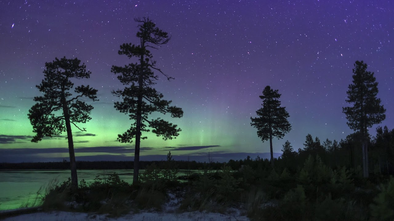 Видео. Фотограф Татьяна Борисова