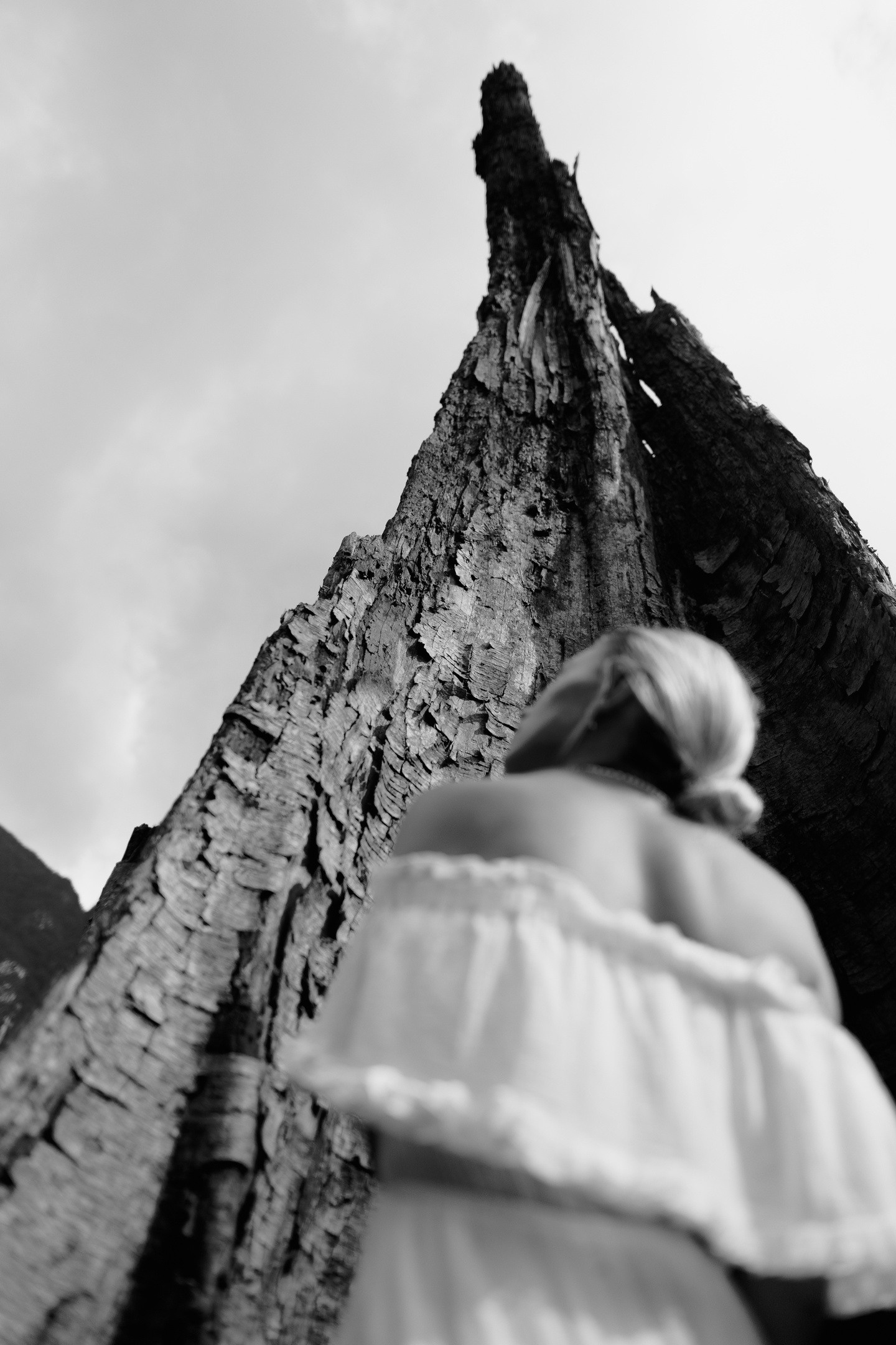 Онлайн-курс. Портретный фотограф в Санкт-Петербурге Алексей Корзов