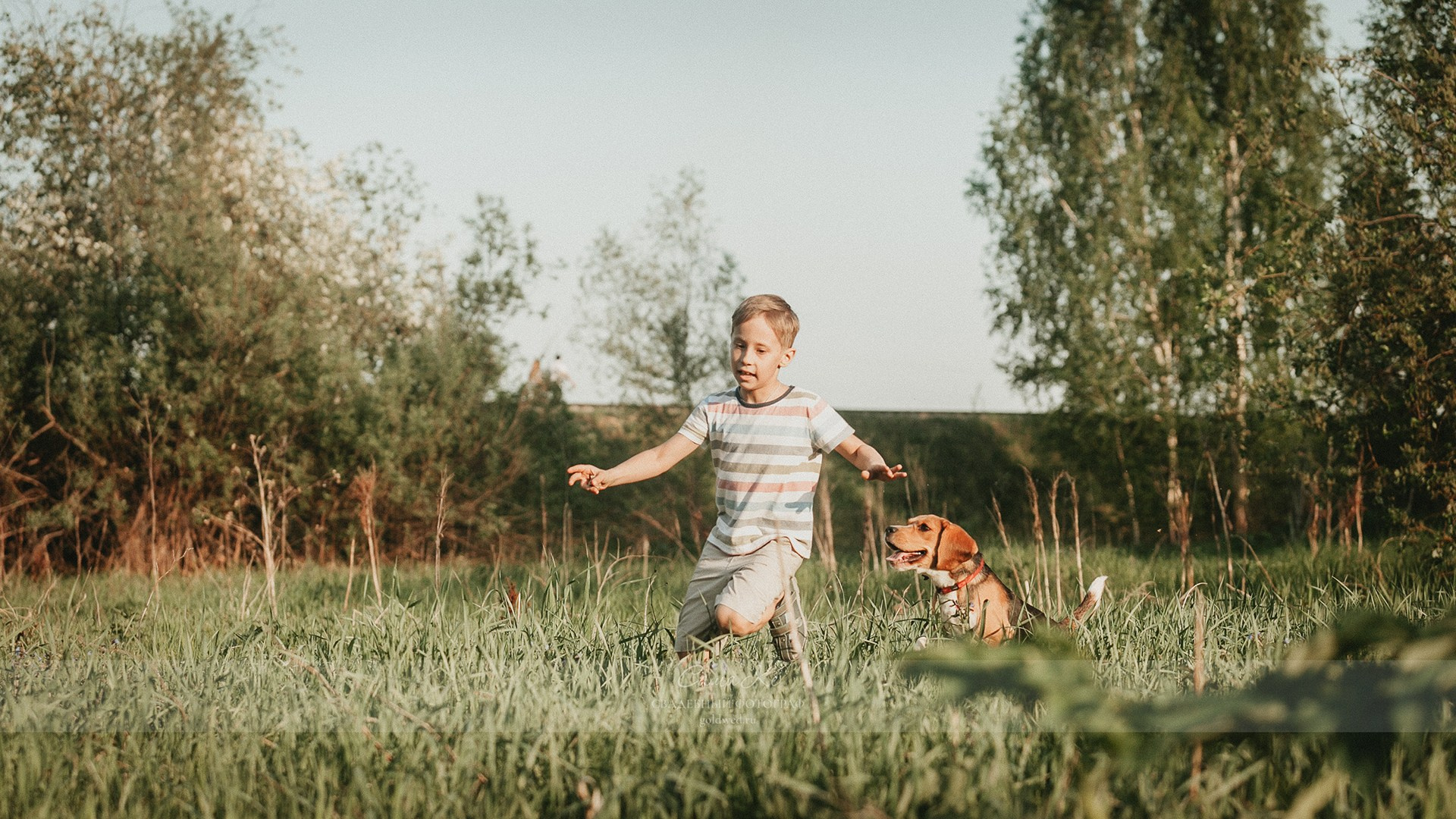 Заельцовский парк - прогулочная фотосессия с семейной съемкой, романтикой и эмоциями