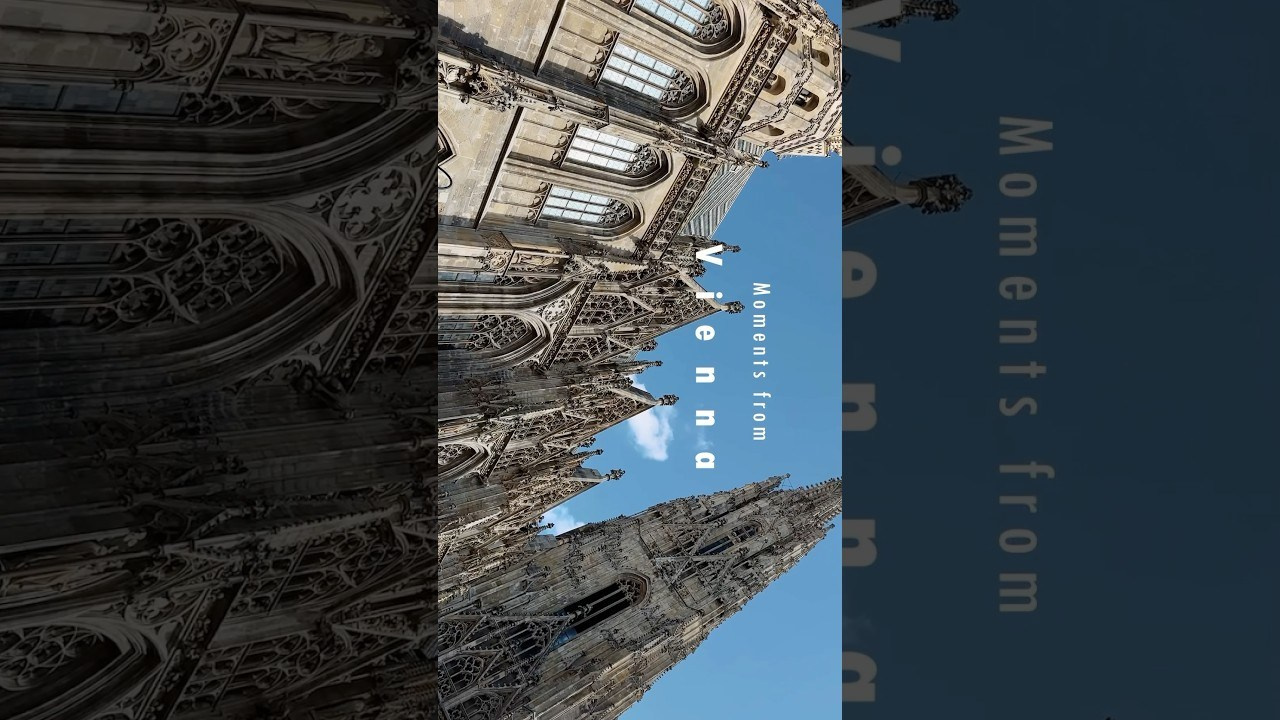 Film. Фотограф и видеограф Елена Хмелевская