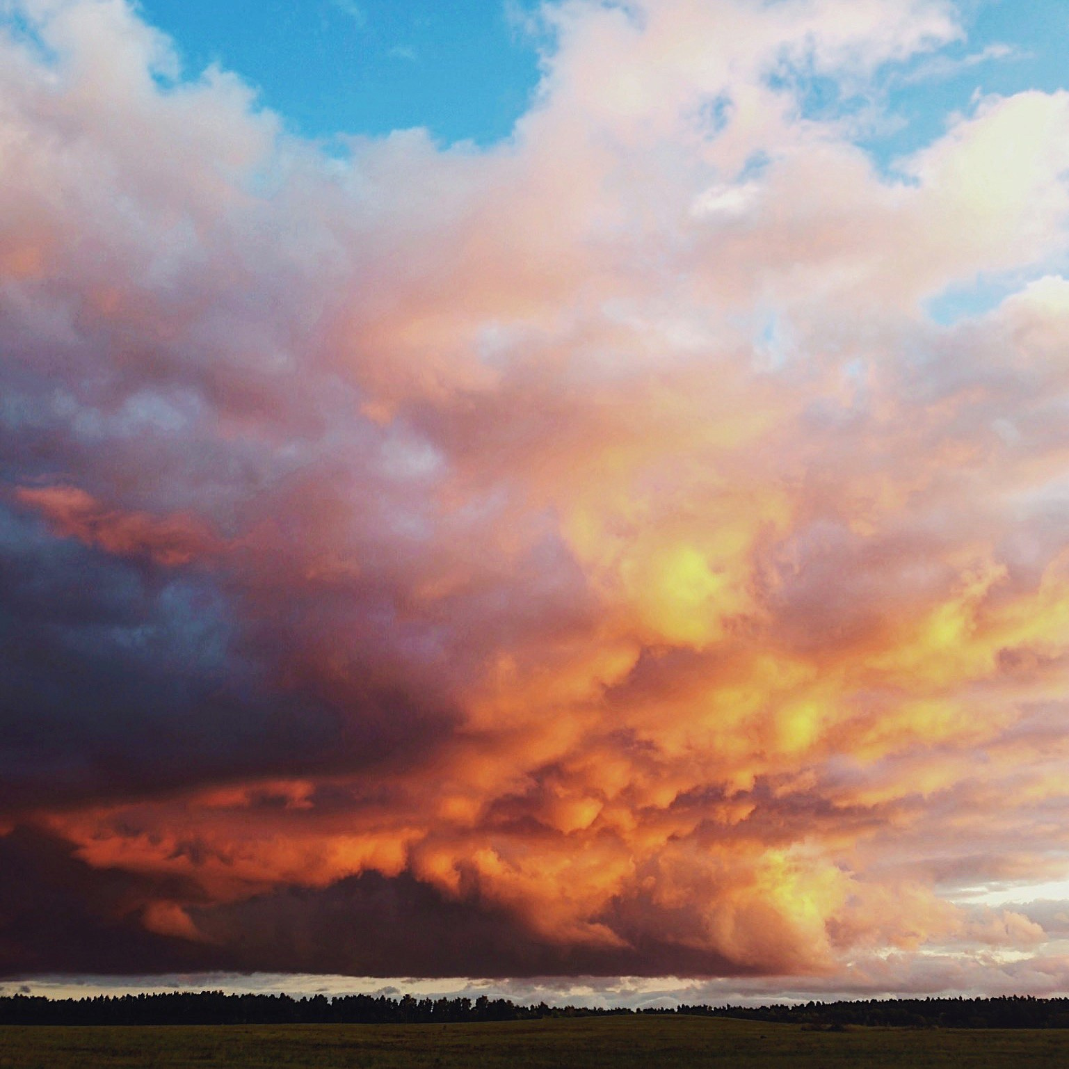 Отзывы. Свадебный и портретный фотограф в Новом Уренгое Андрей Нелескин