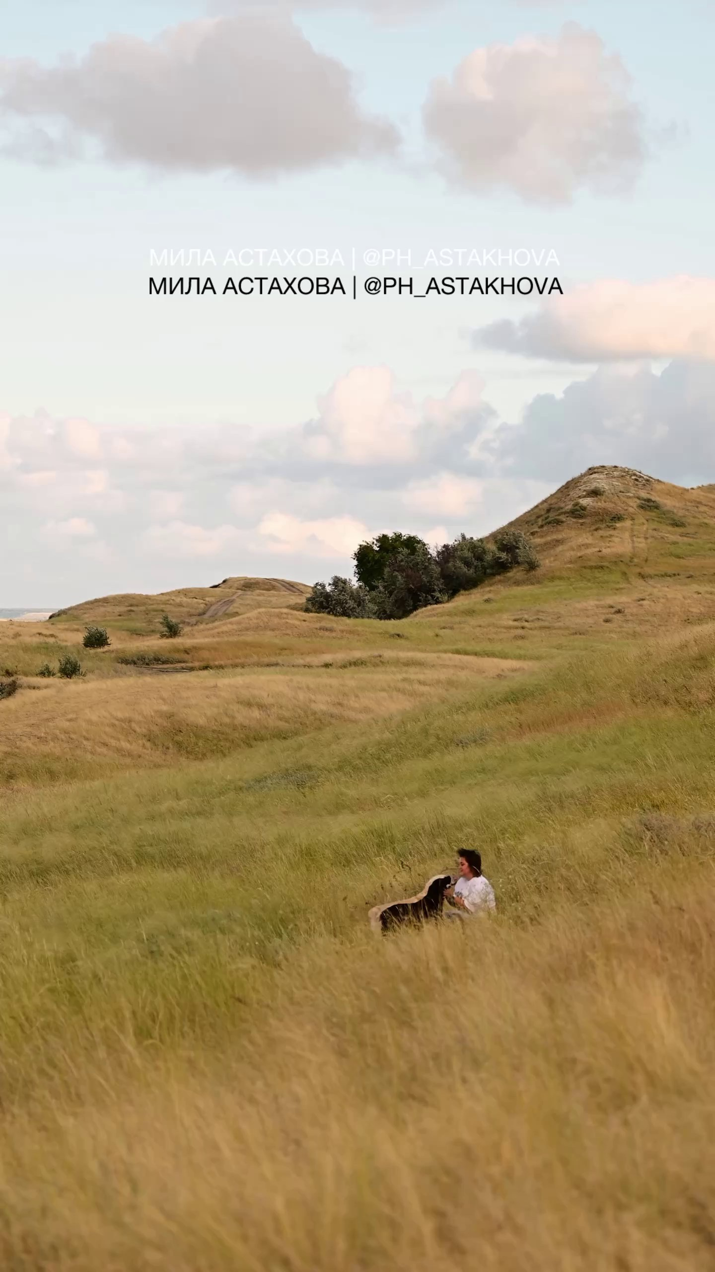 Видео в формате маленькой истории. Мила Астахова. Фотограф | видеограф анималист. Саратов и Энгельс