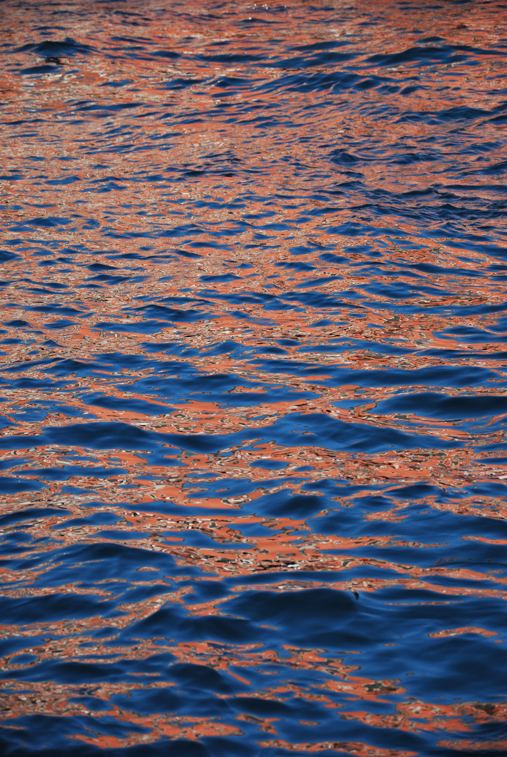 Хижняк Игорь. Фотограф в Москве