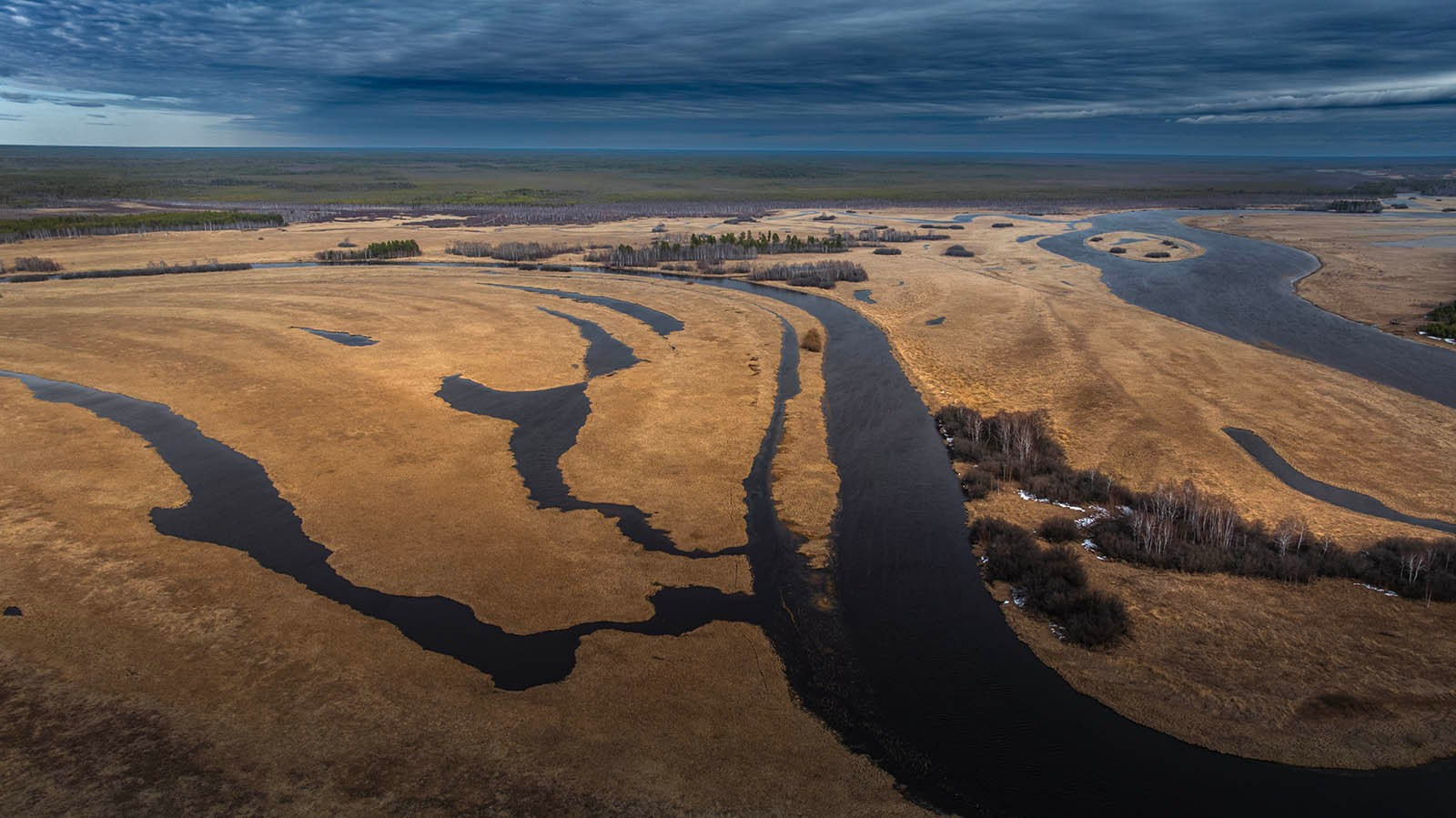 Фотограф Татьяна Борисова