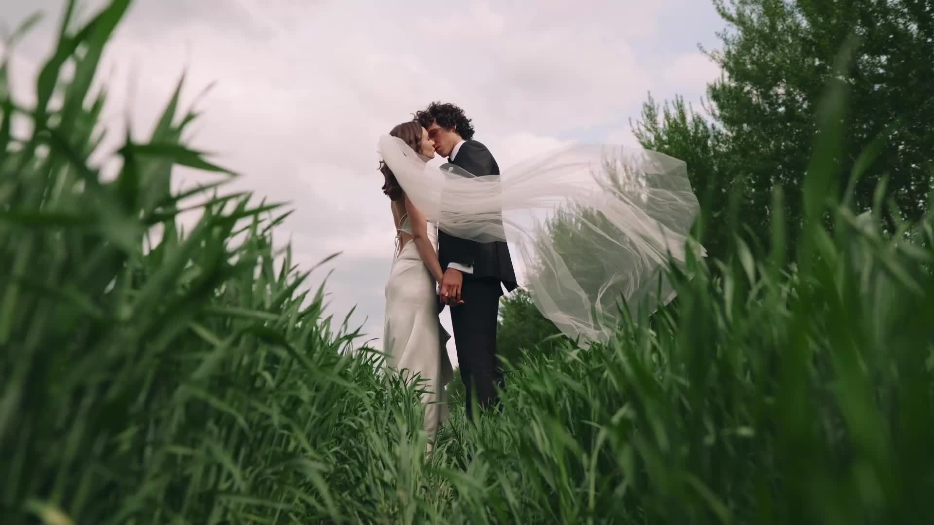 Свадебные клипы. Видеограф Алексей Комаров