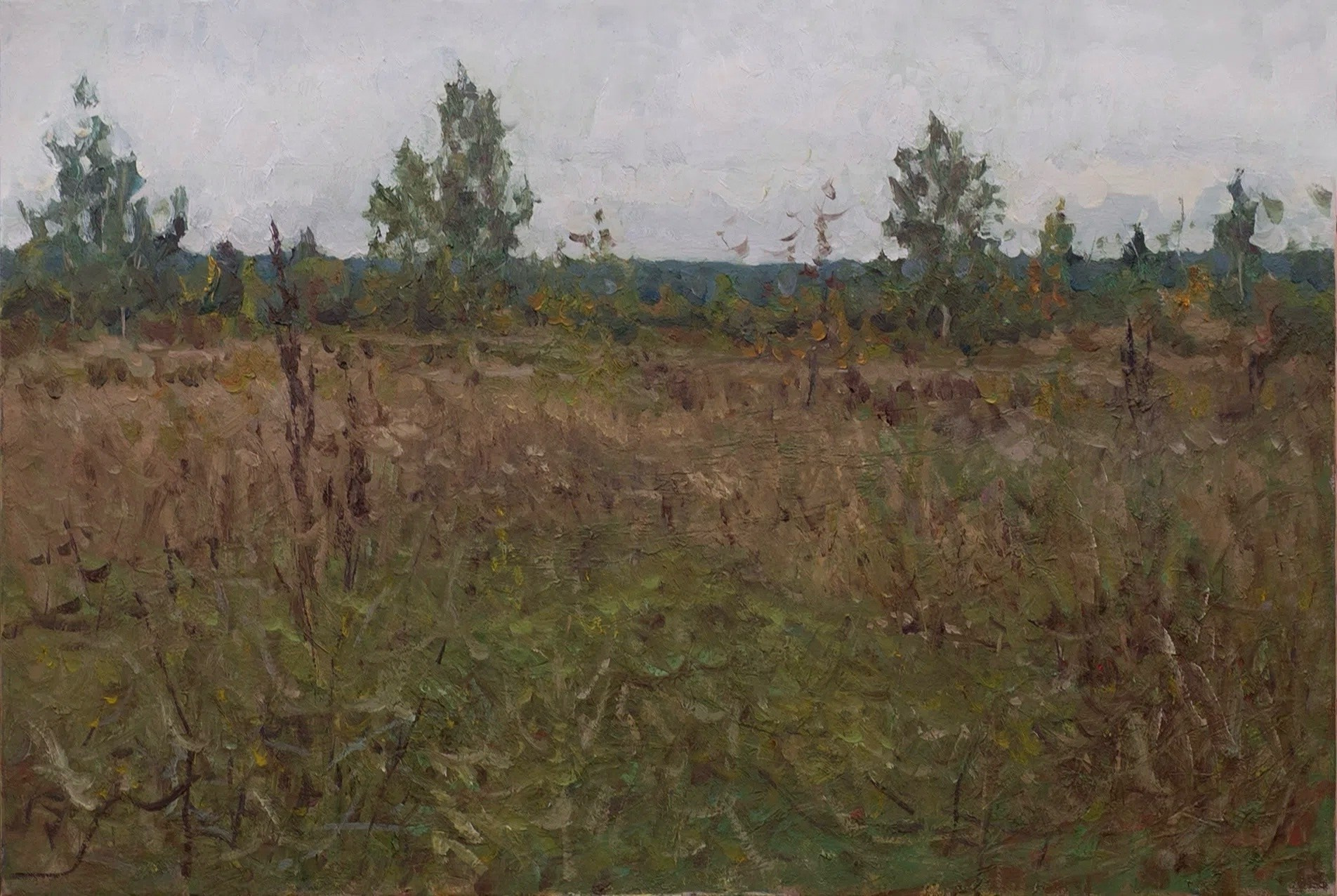 Пасмурно