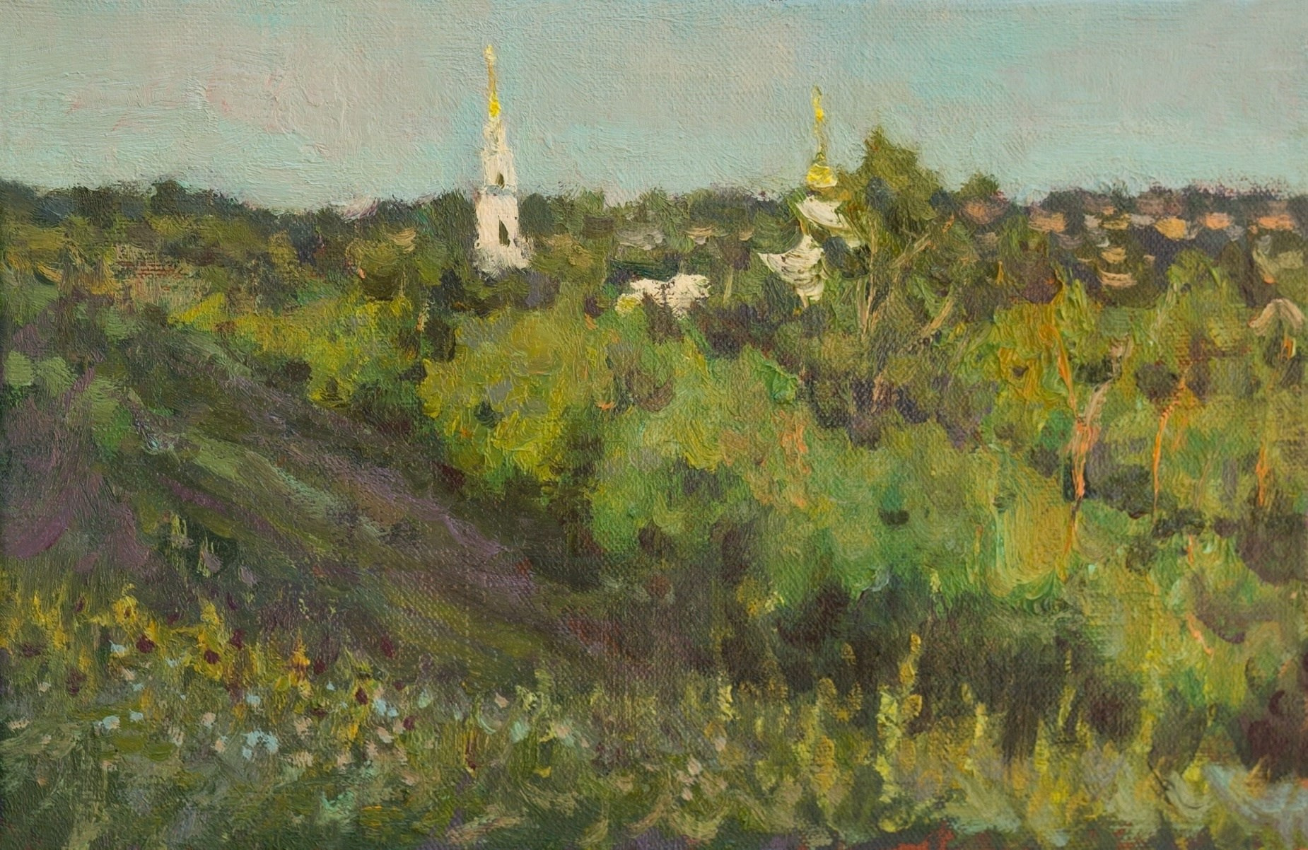 Вид на монастырь