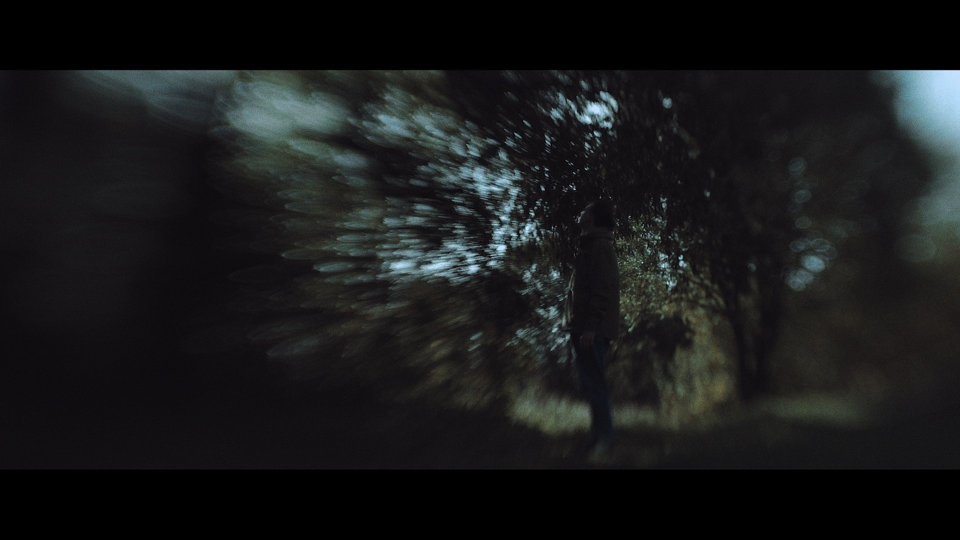 «InSide Media» videomaker Vadim Ermakov