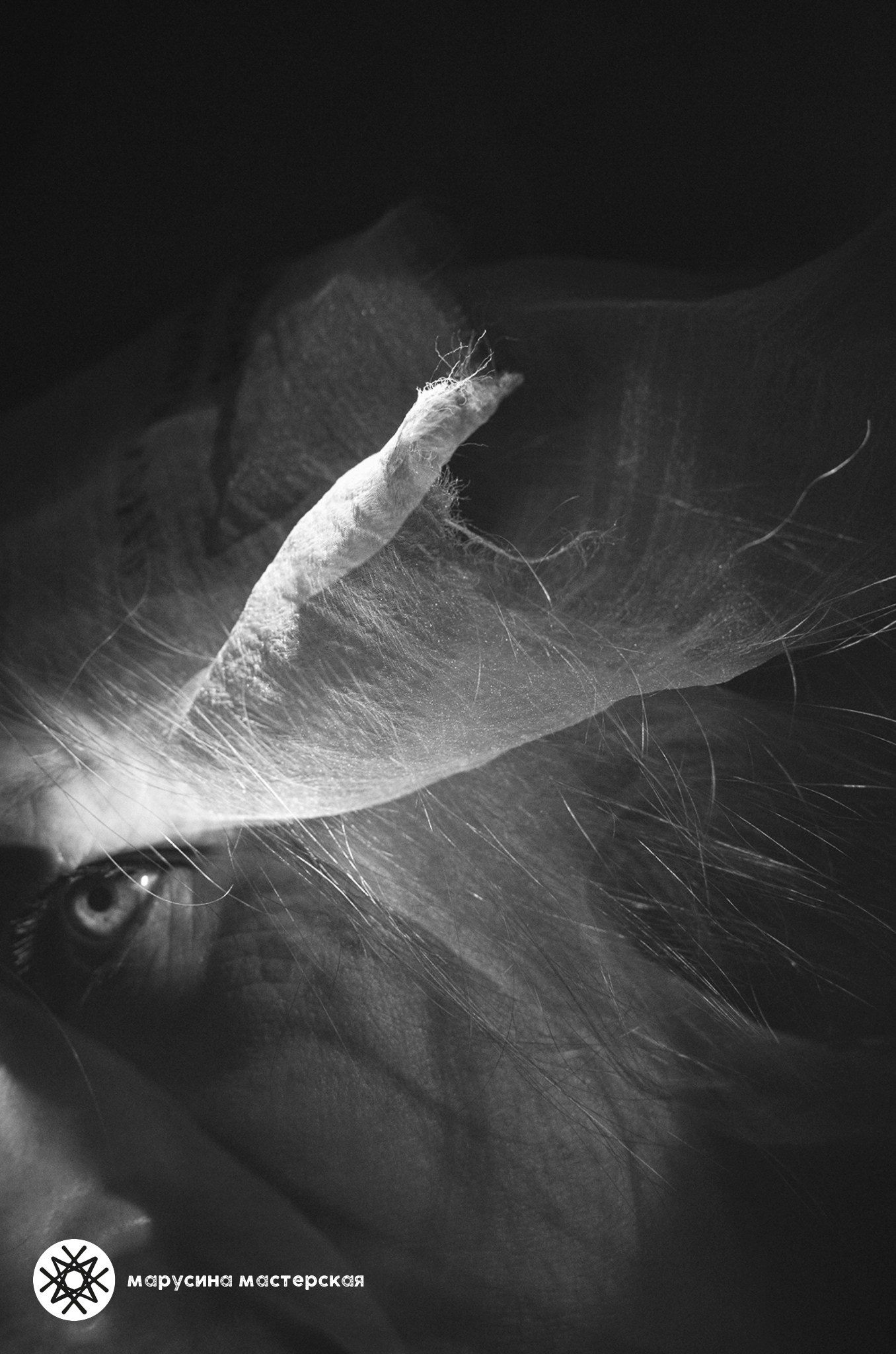 Анна Скопина