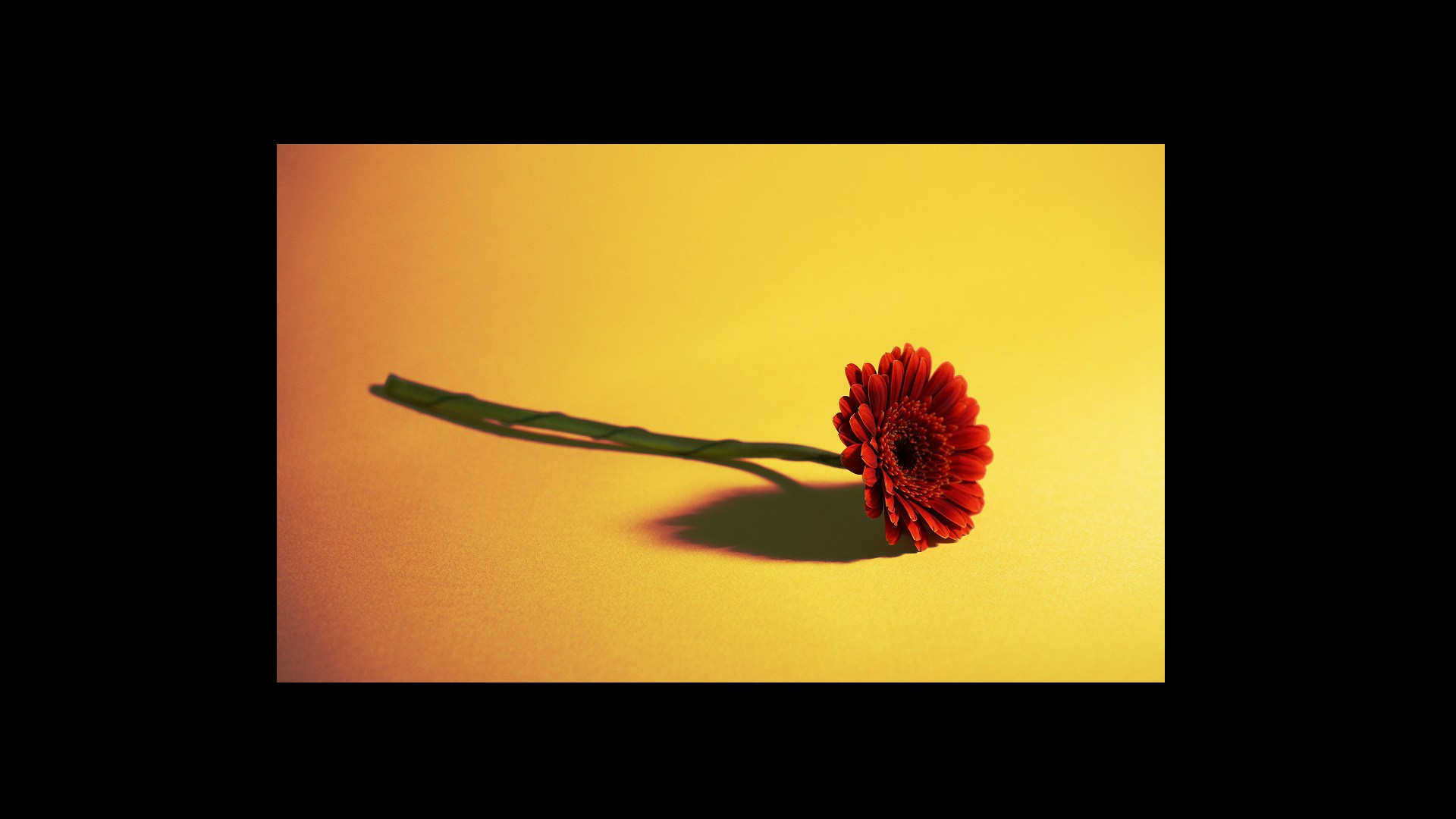 Этапы жизни. Фотограф из Москвы — DASHA NOVA | Авторская фотография в разных жанрах