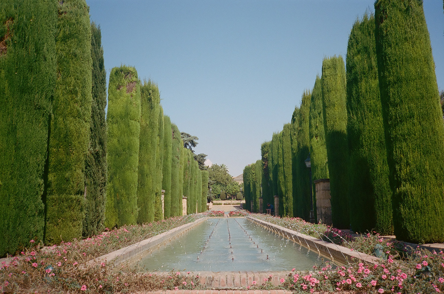 Фотограф Татьяна Байкова — официальный сайт