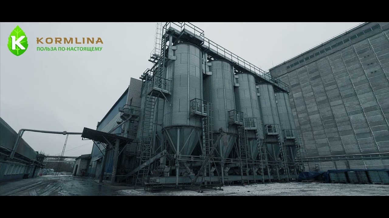 Видео для бизнеса