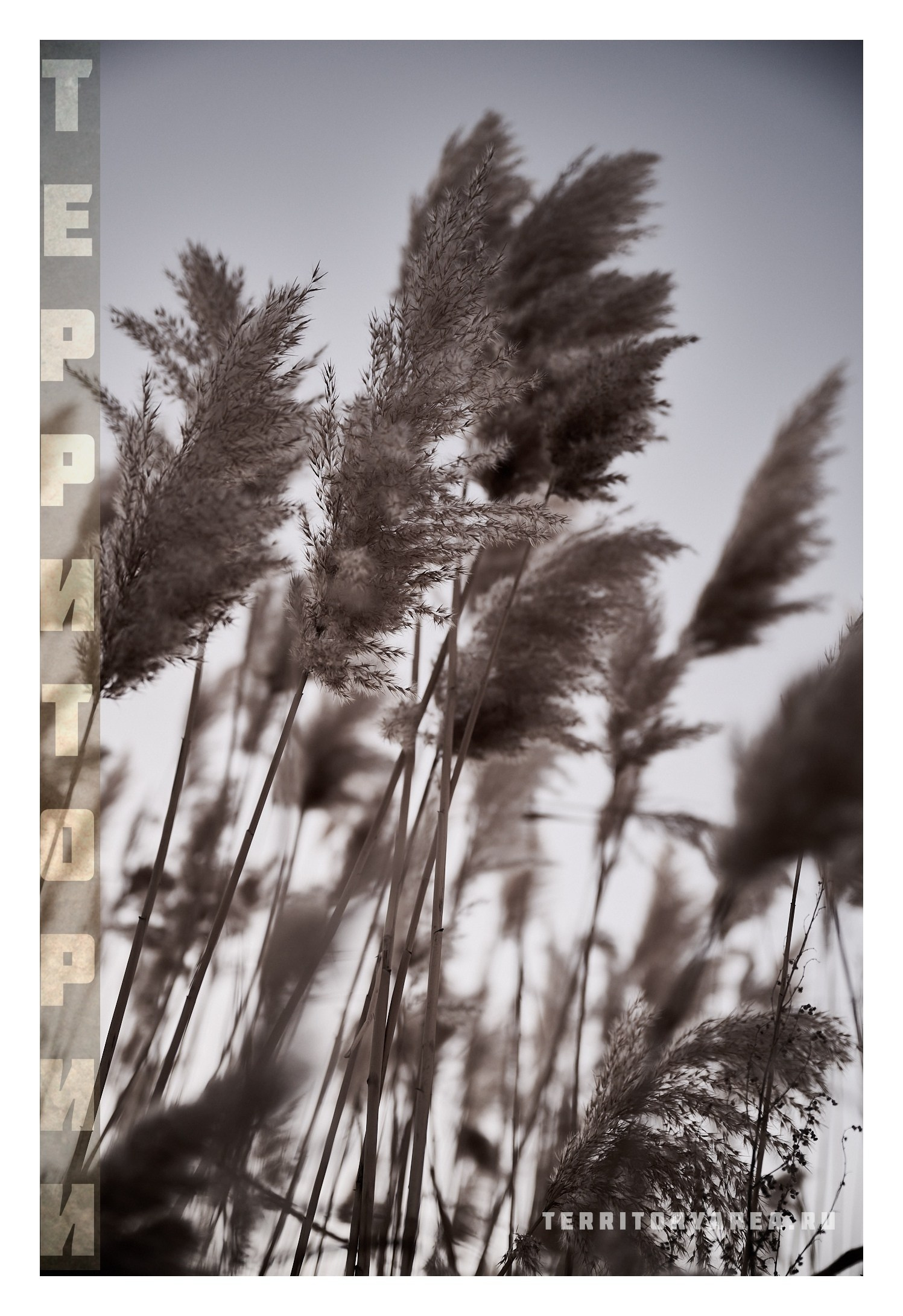 Фотопринты А3. Фотопроект «Территории»