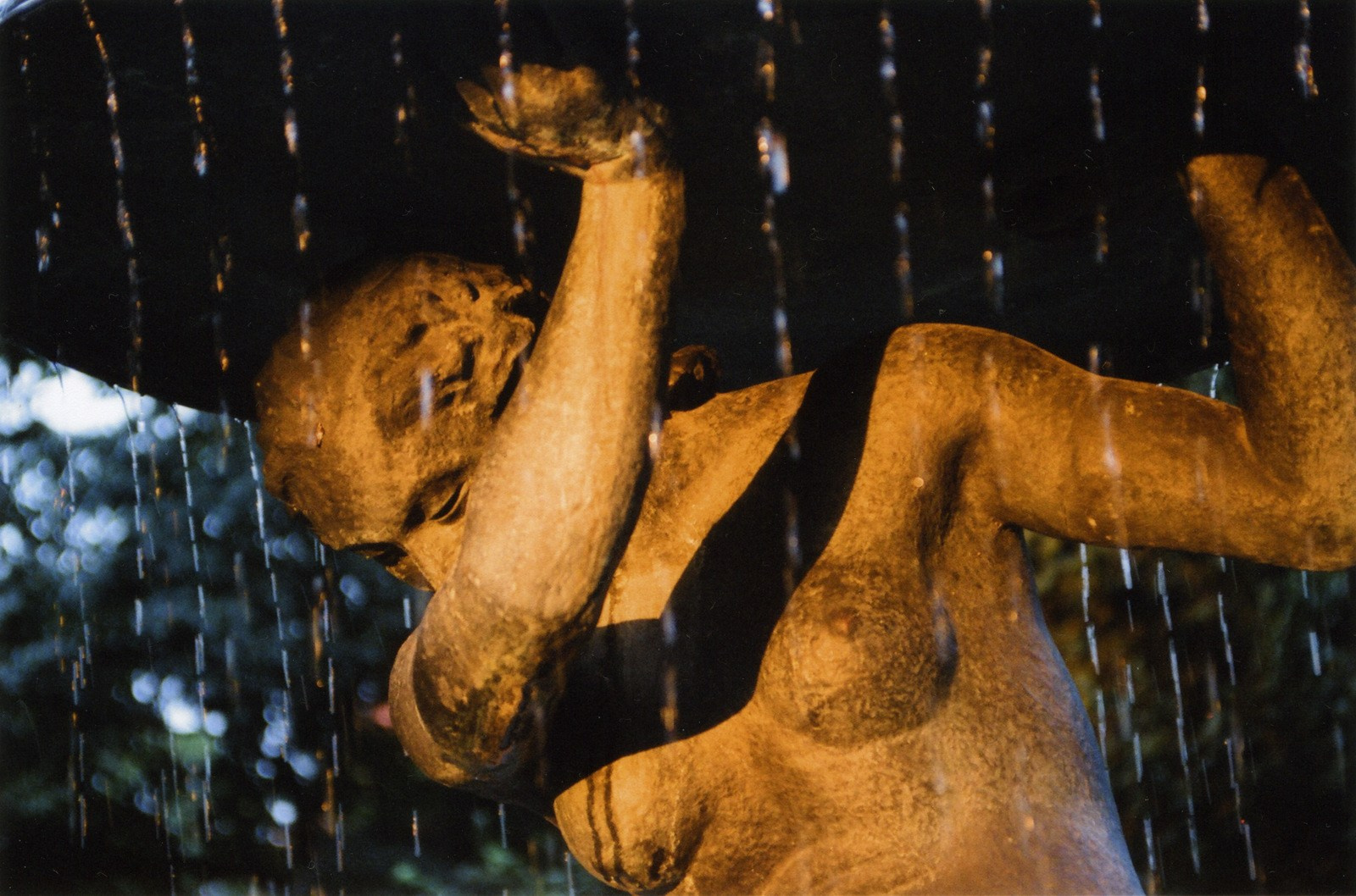 Art Series. Елена Цихон художник фотографии и мастер фото-ДНК