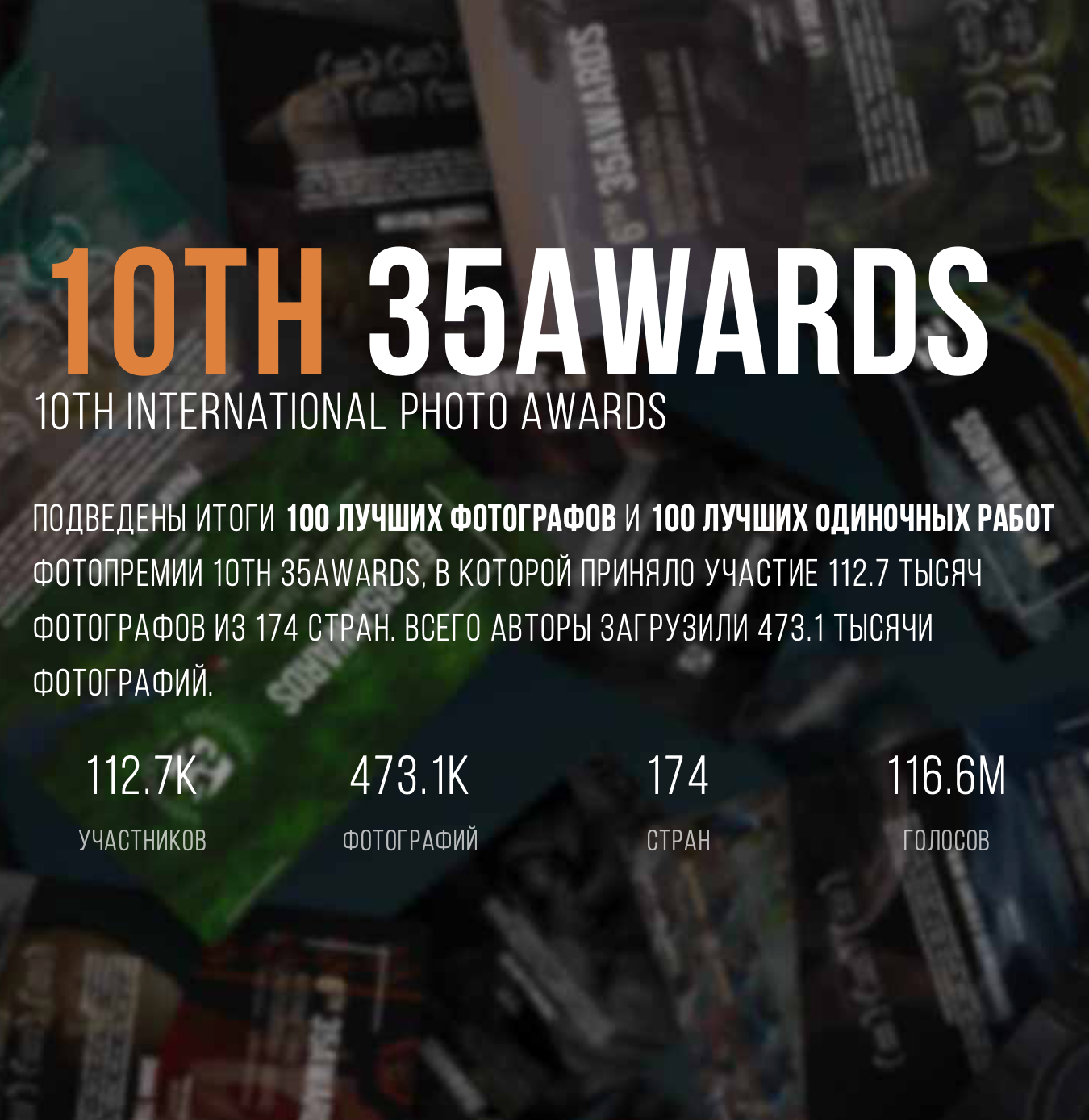 За 2024 год. Фотограф Александра Васильева