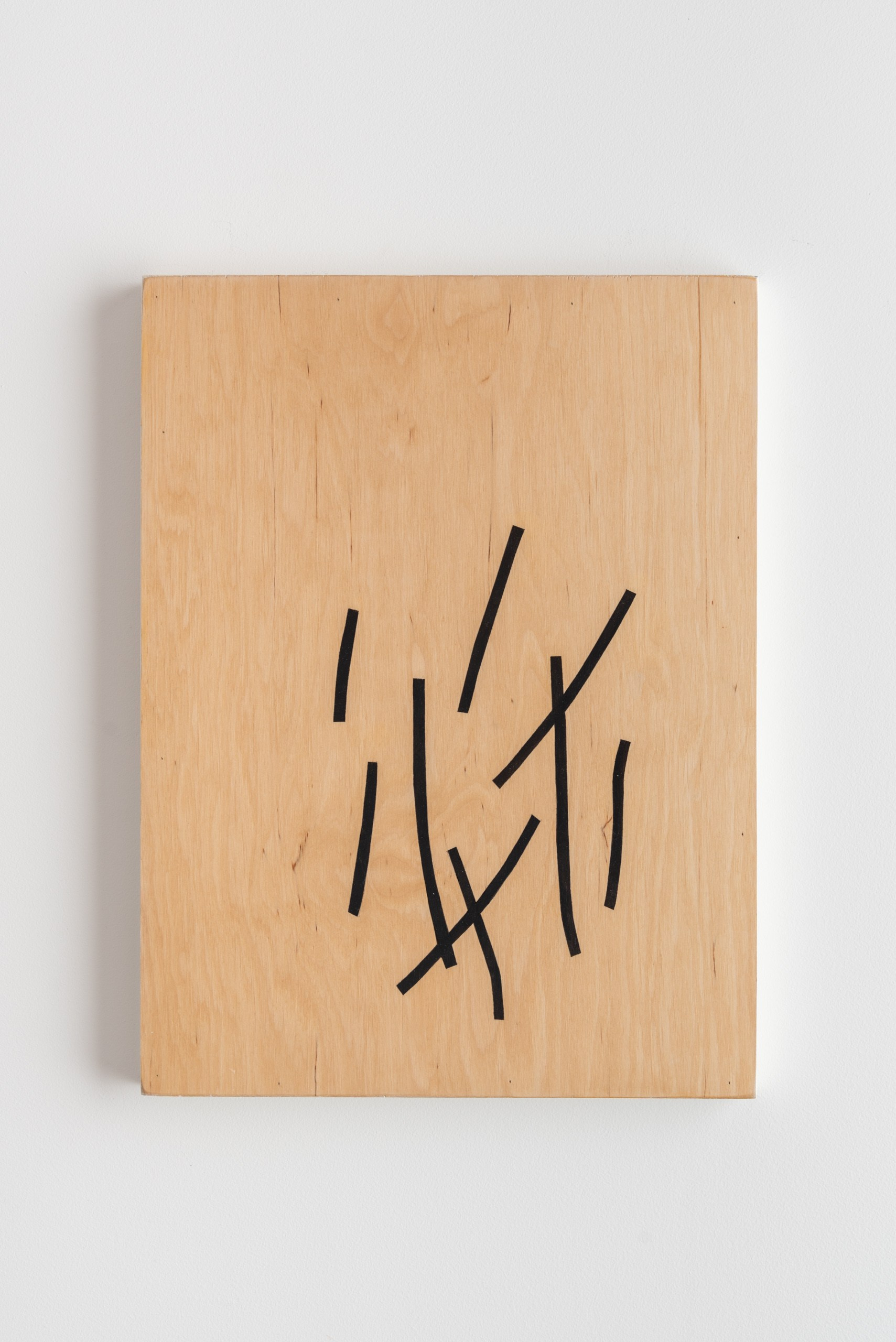 Серия интерактивных объектов НЕ ШТРИХИ. Художник Ольга Папшева ЛИТПРИНТ / LITPRINT Саратов