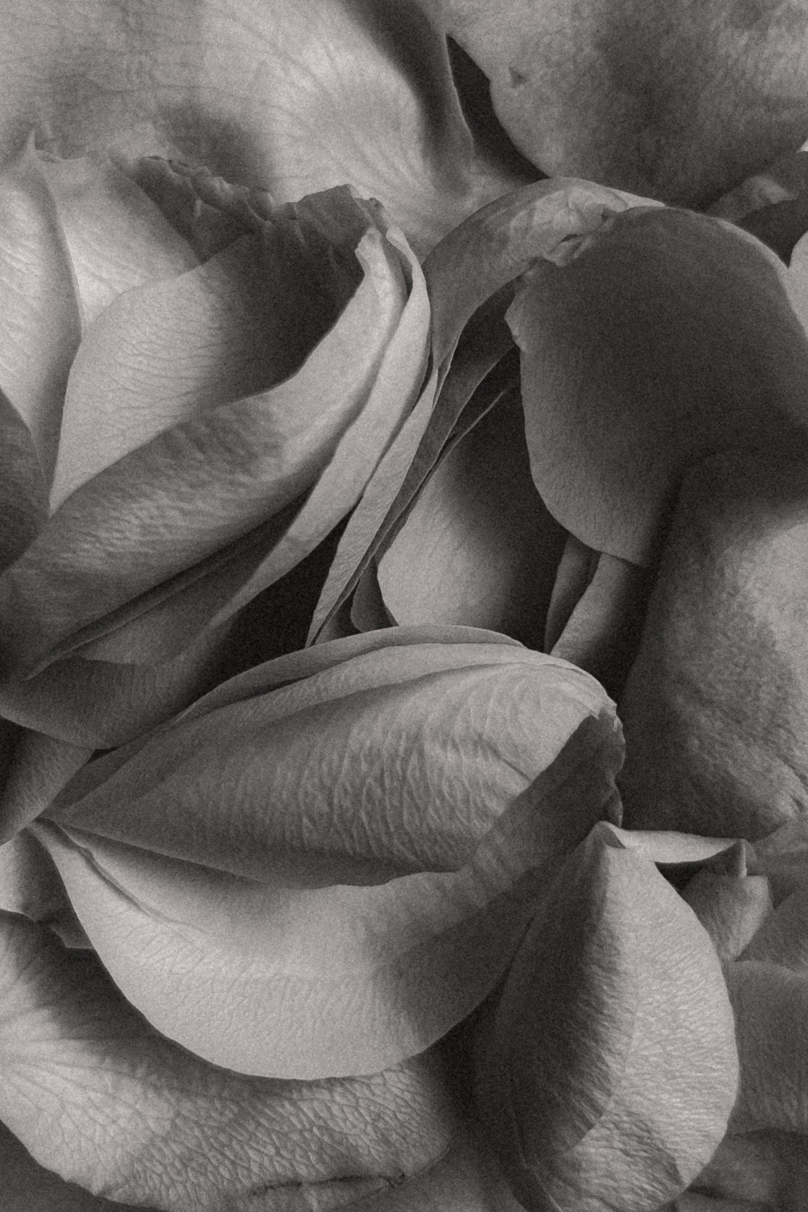 МОИМИ ГЛАЗАМИ. Nuga_visual