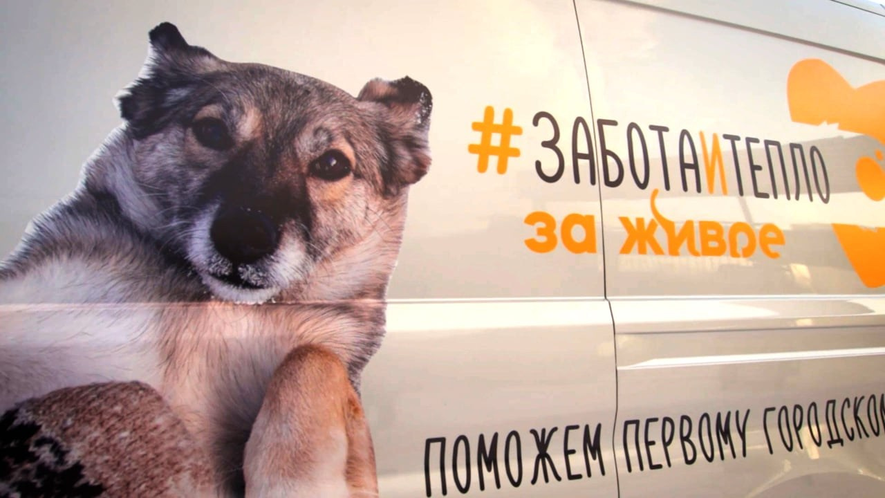 ДОКФИЛЬМЫ. YouTube для ВРАЧЕЙ | видео для БИЗНЕСА | MINDSETUP