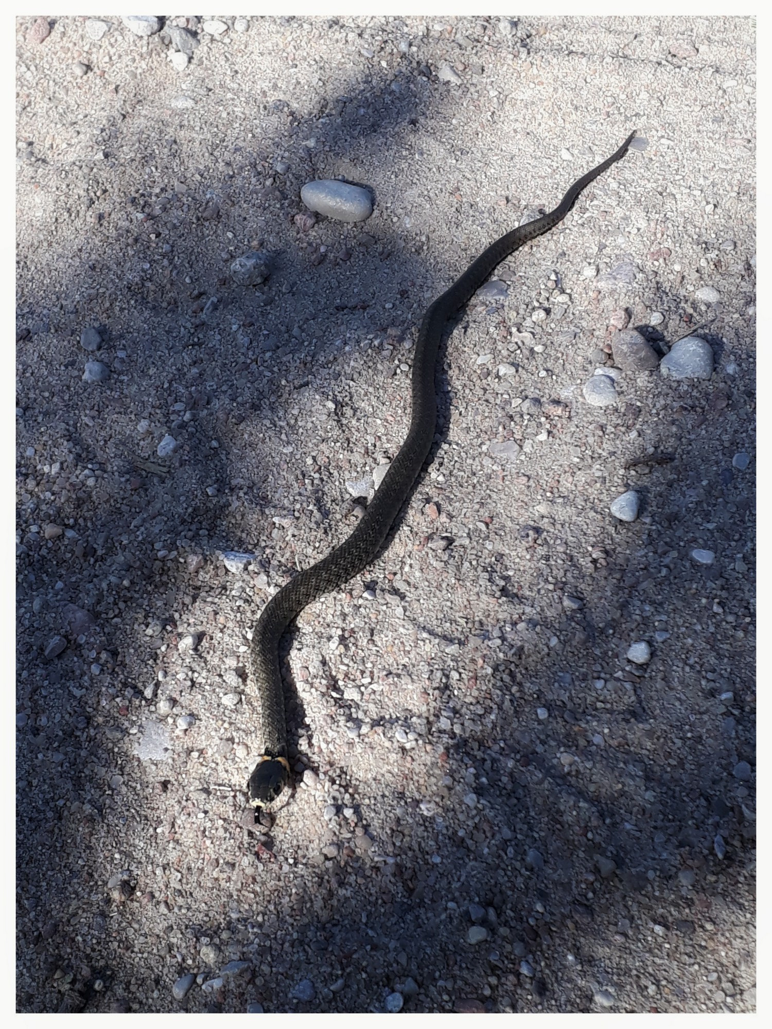 Belarus. Künstler Verstecktoff