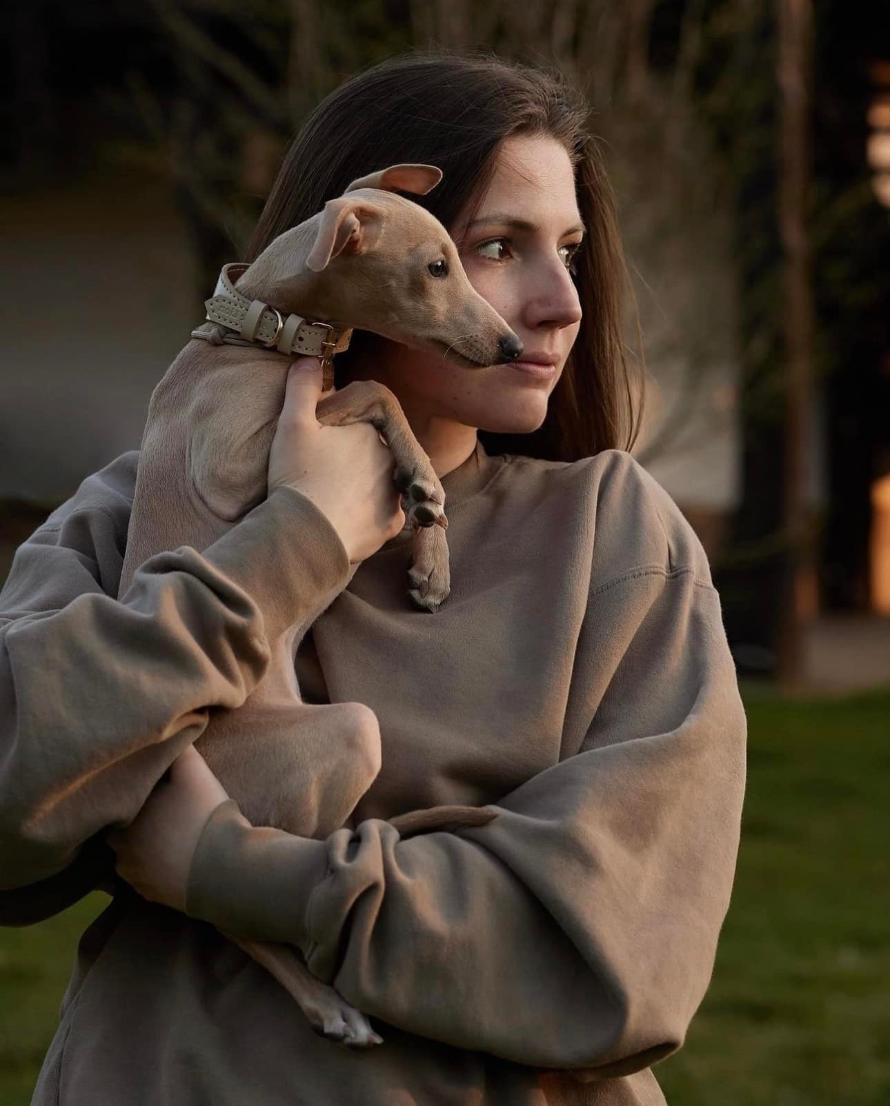 Профессиональный питомник левреток РКФ/FCI ASTI SAPPHIRE 💎 Сочи|Санкт-Петербург