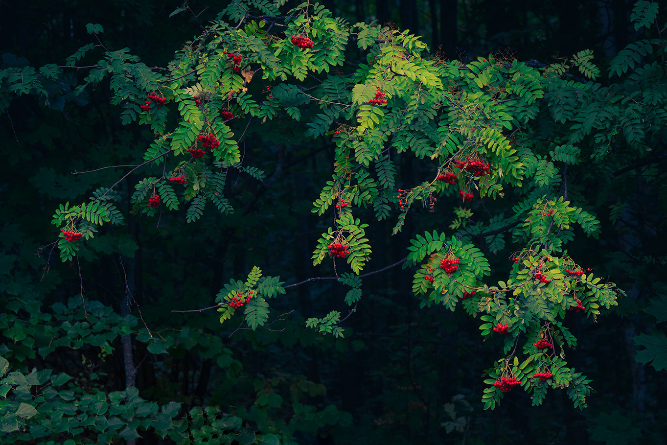 Пейзажный фотограф Руслан Лукманов