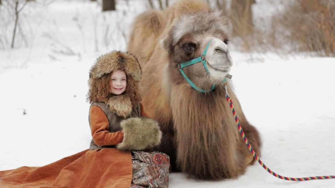 Портфолио видео. Алина Малышева, свадебный и семейный фотограф Москва