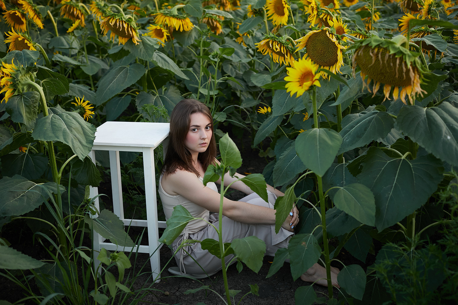 «В подсолнухах». Свадебный и креативный фотограф в ЮФО и МСК