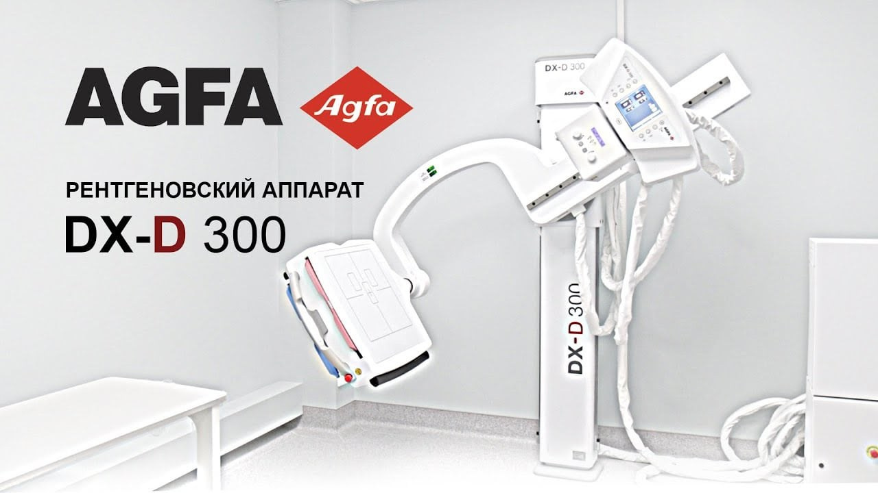 ВИДЕО. Анимация на заказ | AI 3D 2D | AIMULTISET