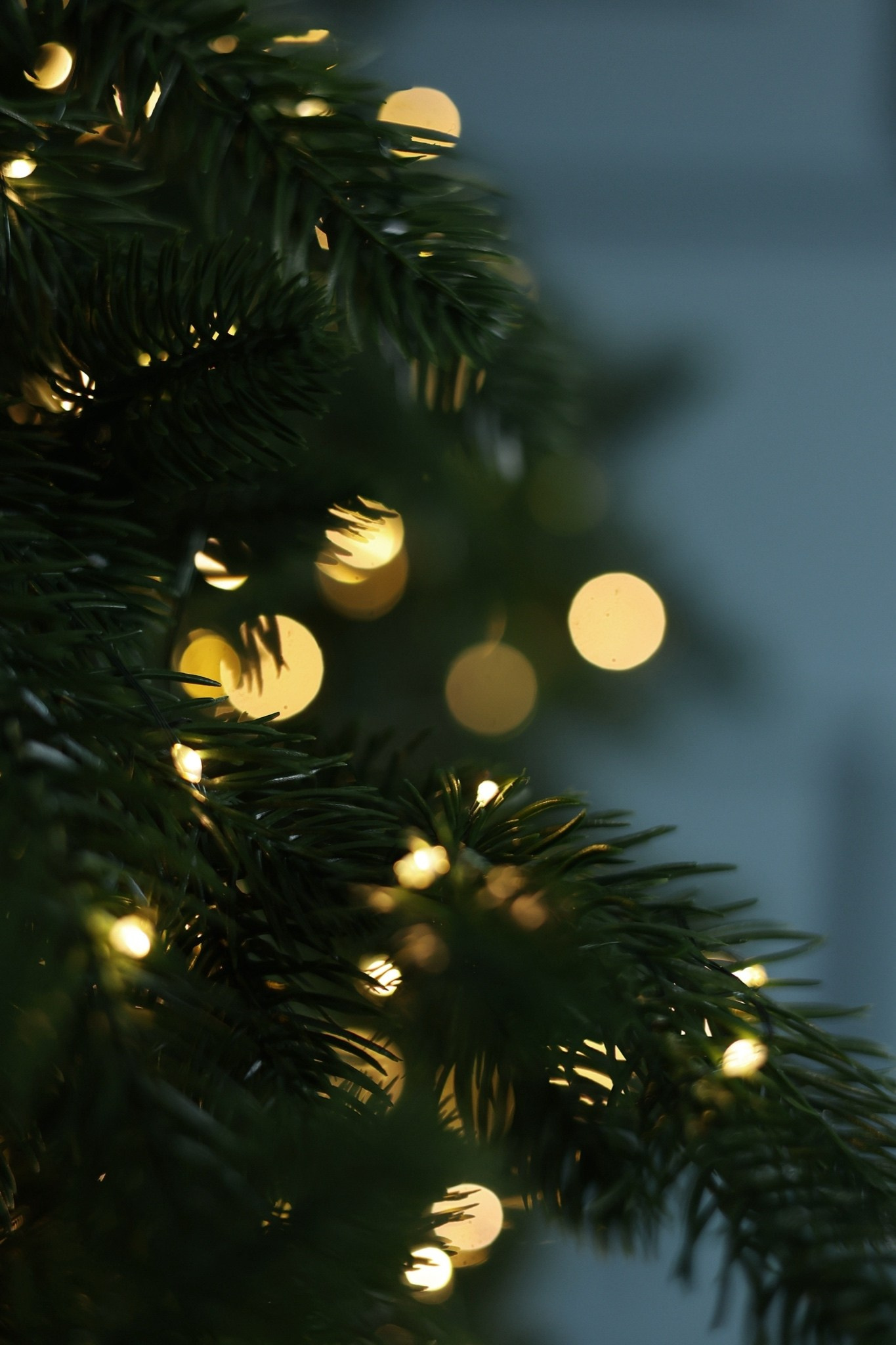 НОВЫЙ ГОД 2026. Семейный и Детский фотограф г. Москва, г. Борисоглебск