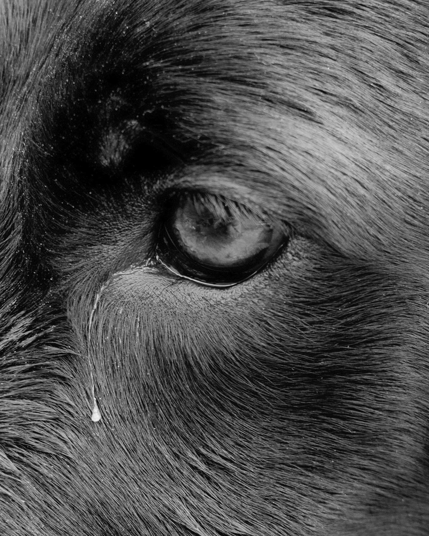 Вдохновение недели. Private image