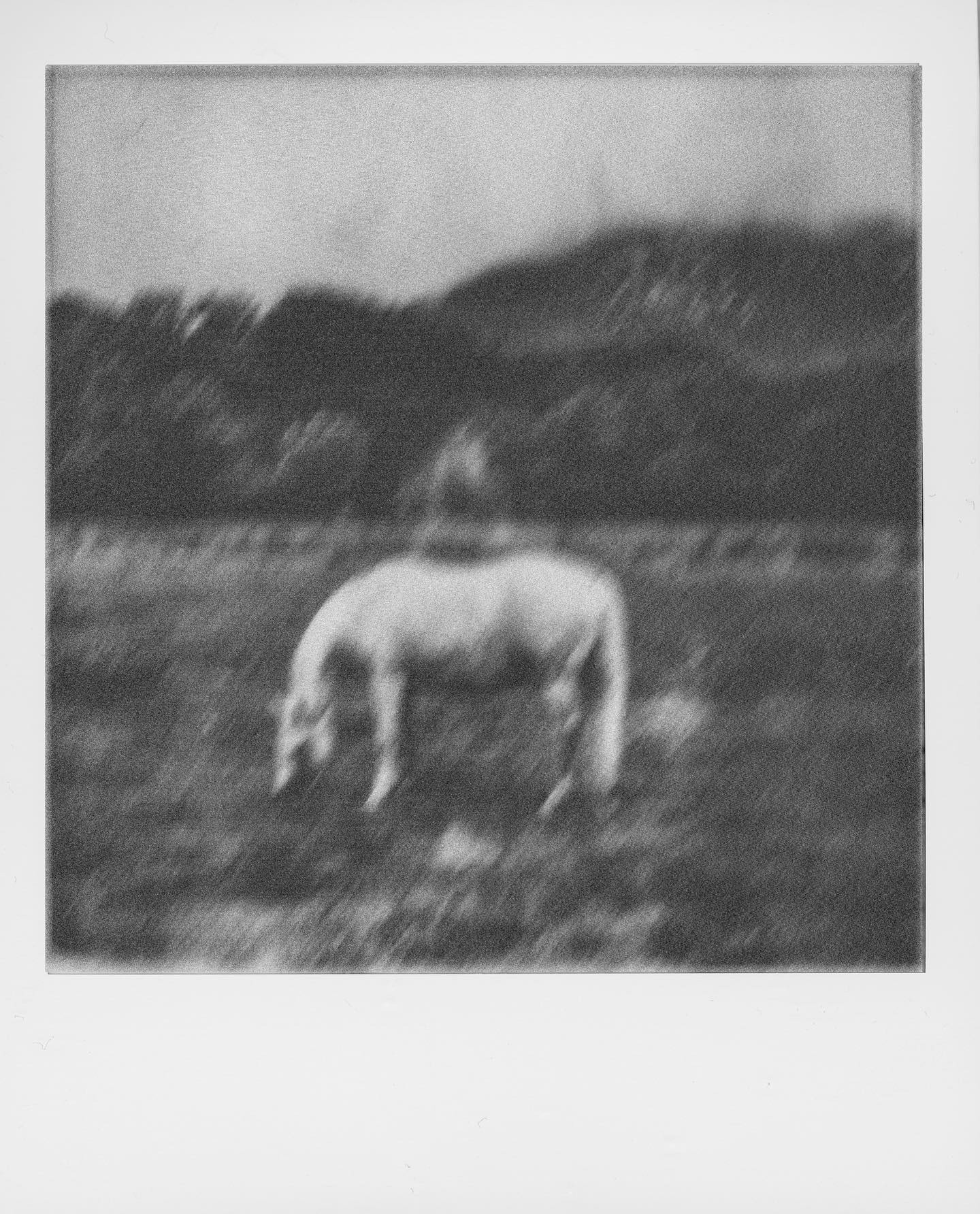 Тайрелл МакБрайд (Tyrell McBride) — темы памяти, ностальгии и меланхолии. Private image